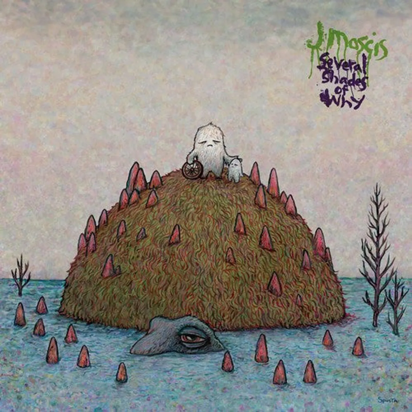 J Mascis LP Vinyl - Several Shades Of Why (Blk)