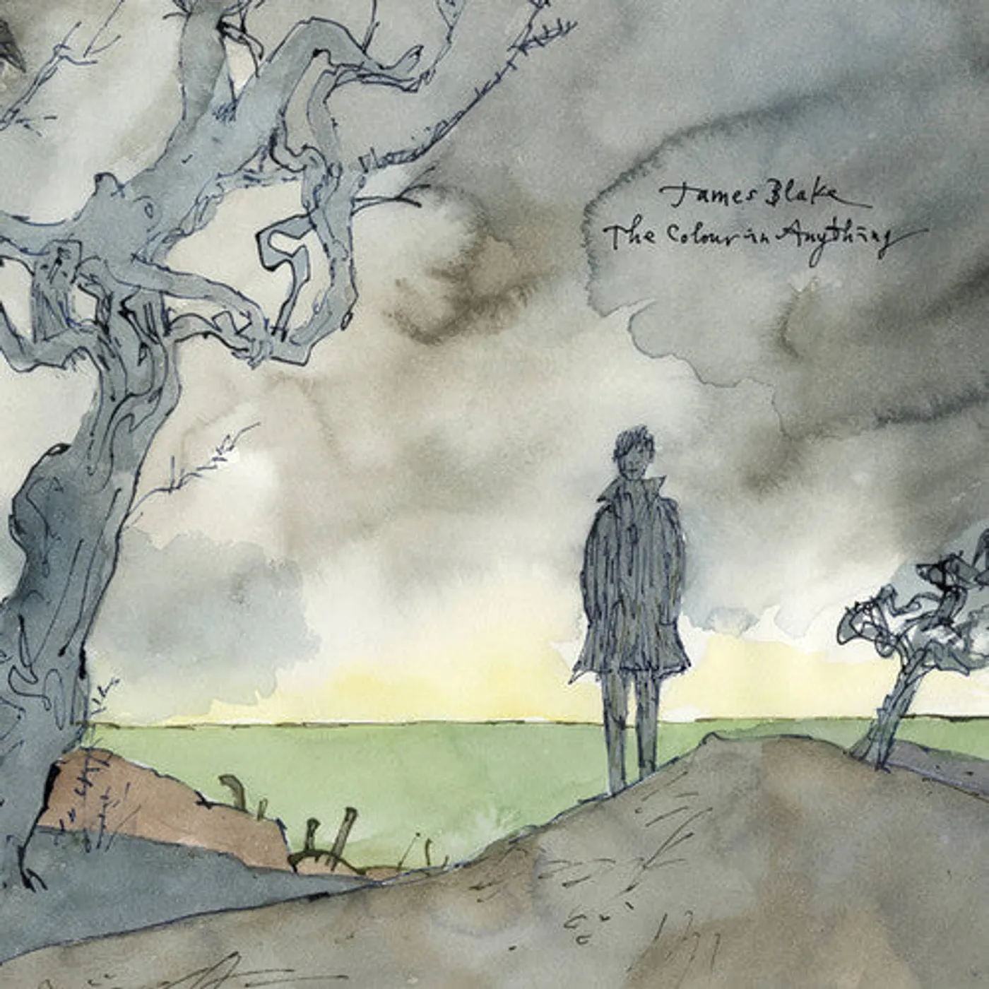 James Blake LP Vinyl - Colour In Anything (Ogv)