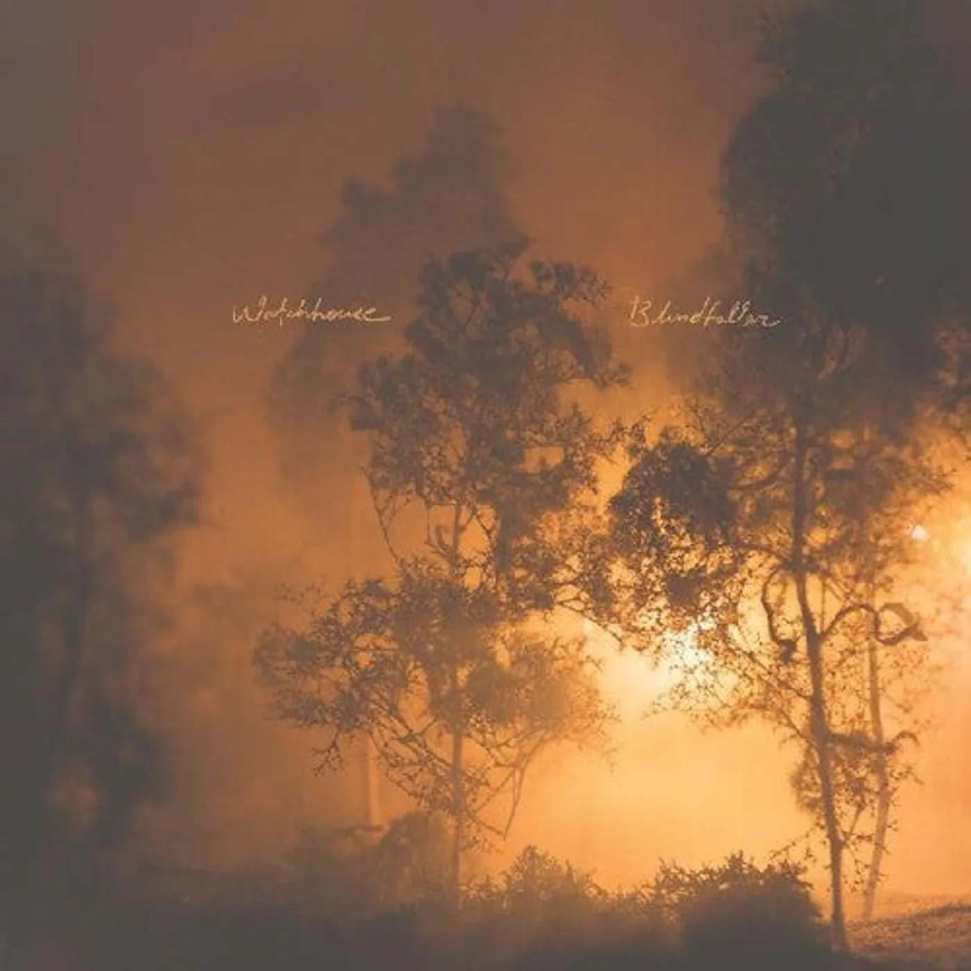 Watchhouse LP Vinyl - Blindfaller (Cvnl) (Org)