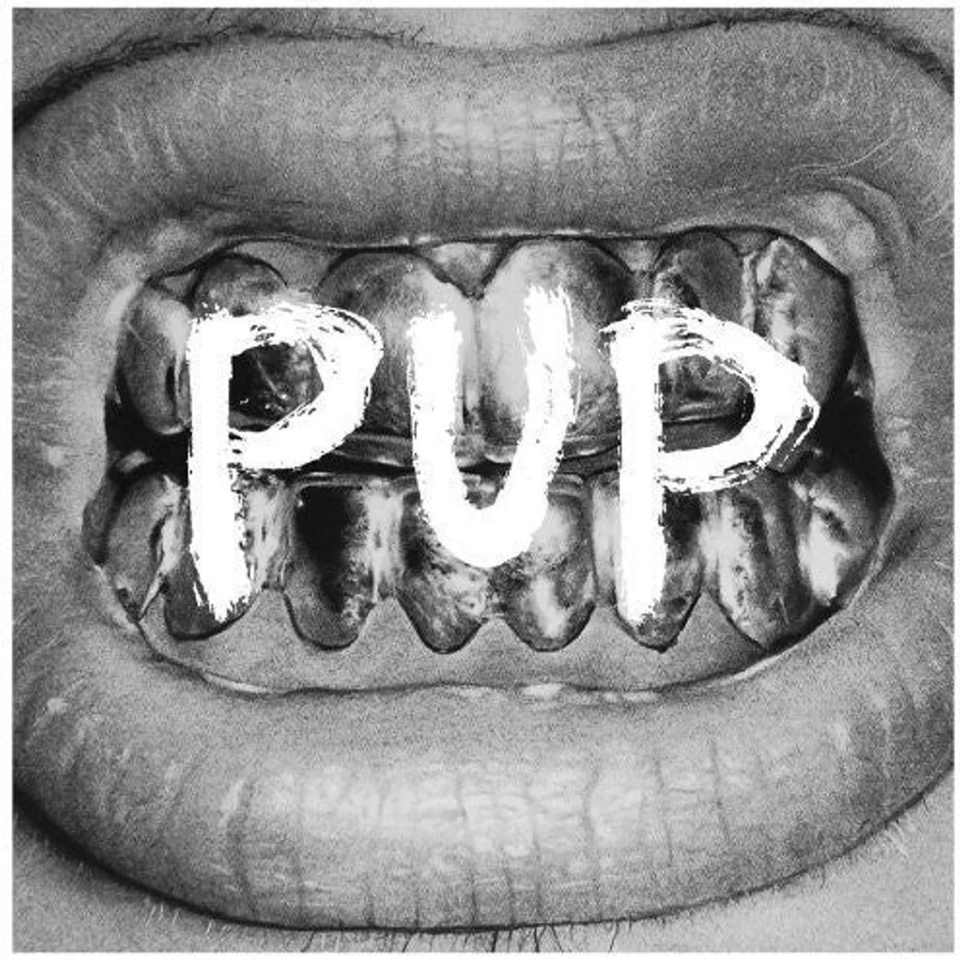 Pup LP Vinyl - Pup
