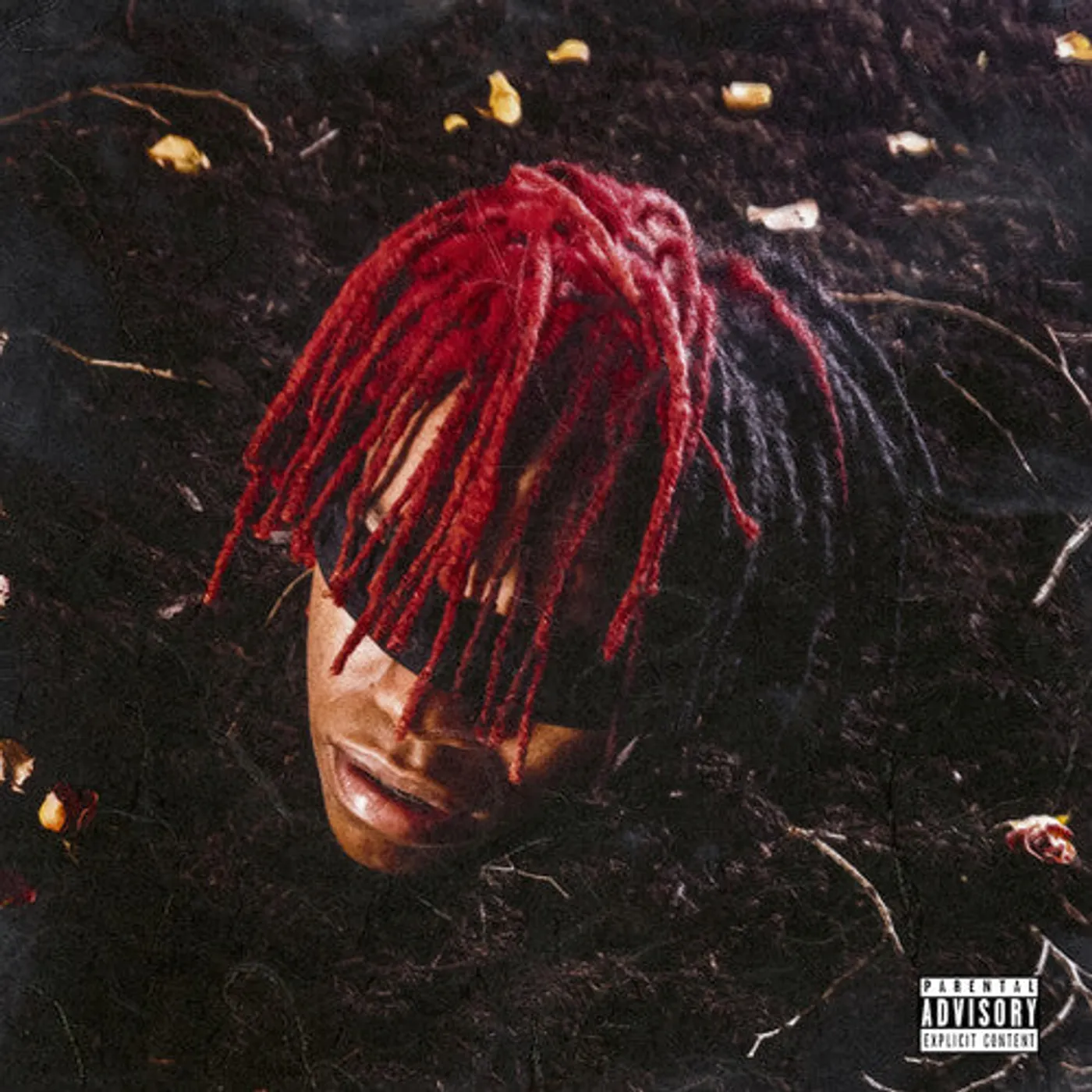 Dc The Don LP Vinyl - Funeral
