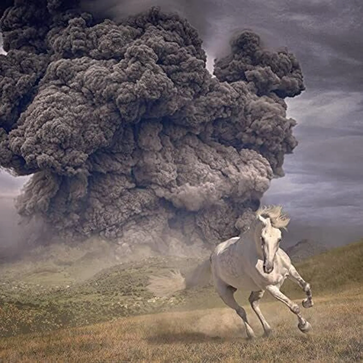 The White Buffalo LP Vinyl - Year Of The Dark Horse (Blue) (Cvnl)