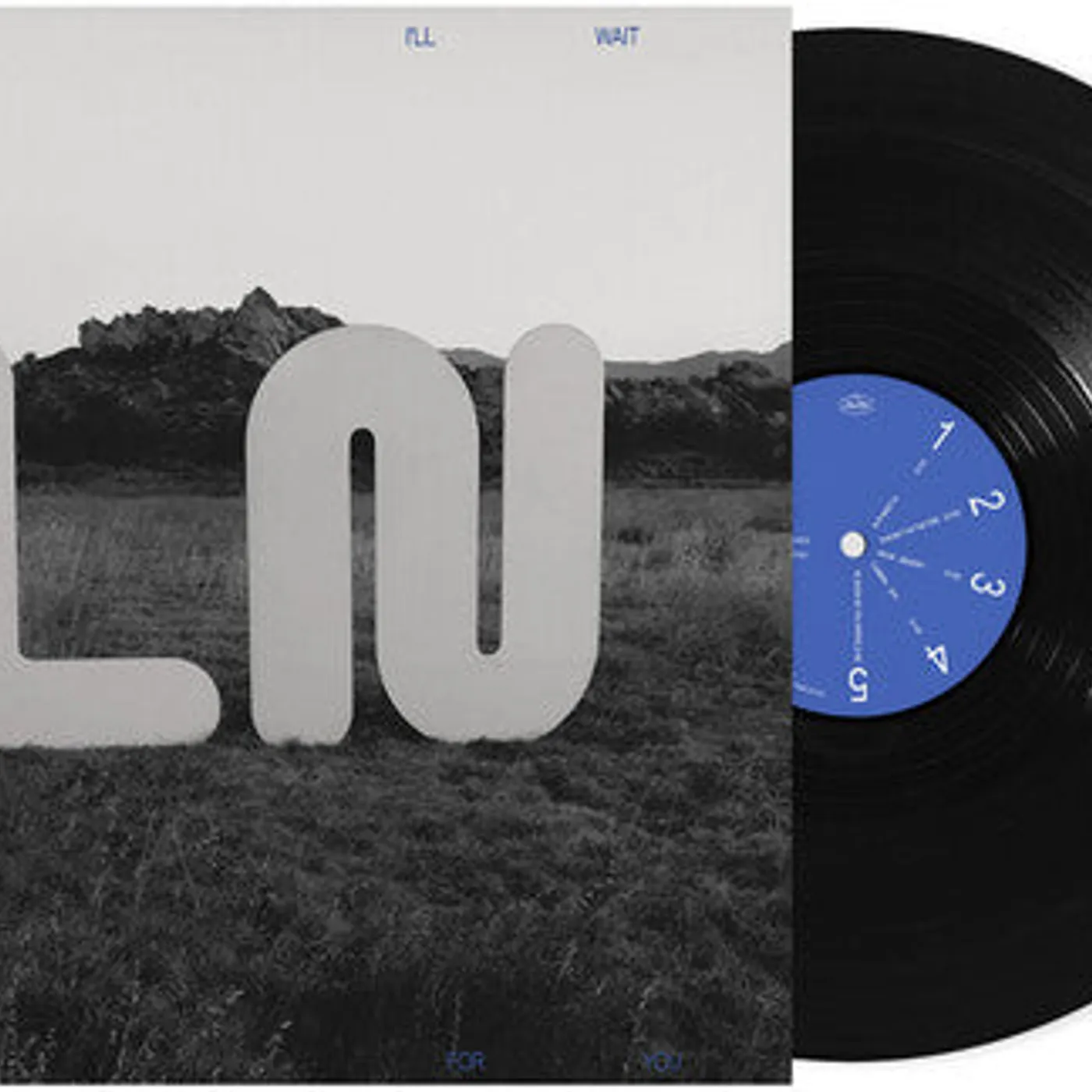 Local Natives LP Vinyl - But I'Ll Wait For You