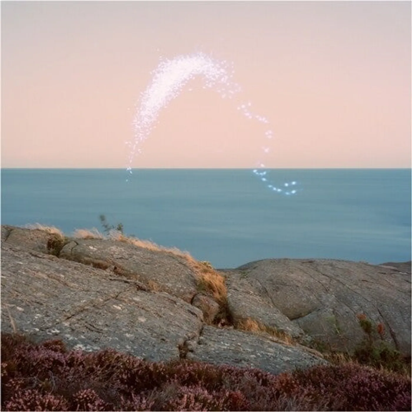 Cassandra Jenkins LP Vinyl - An Overview On Phenomenal Nature