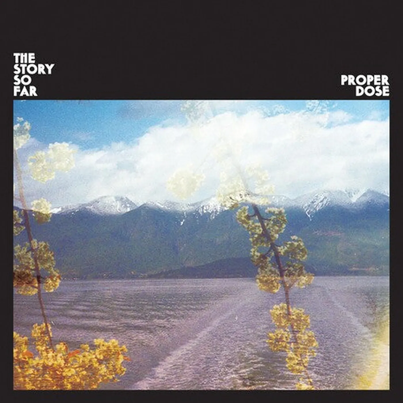 The Story So Far LP Vinyl - Proper Dose