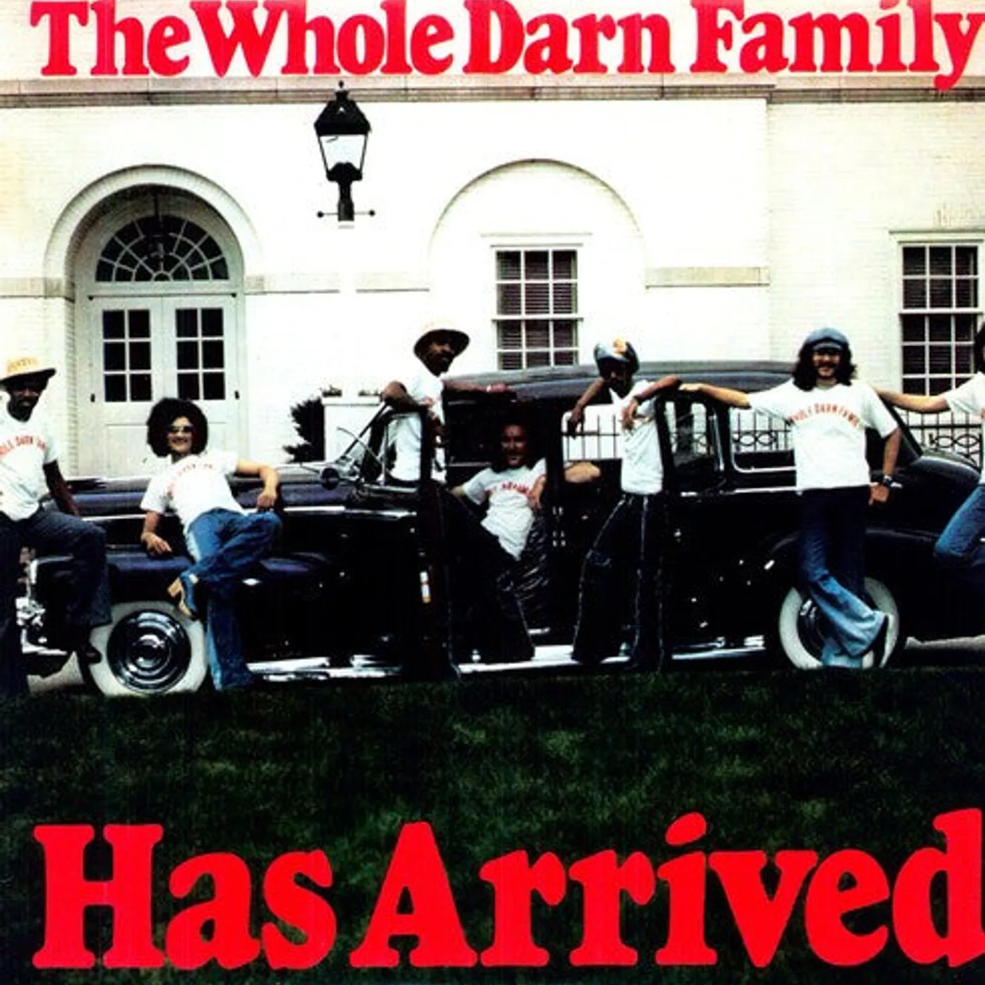 The Whole Darn Family LP Vinyl - Has Arrived