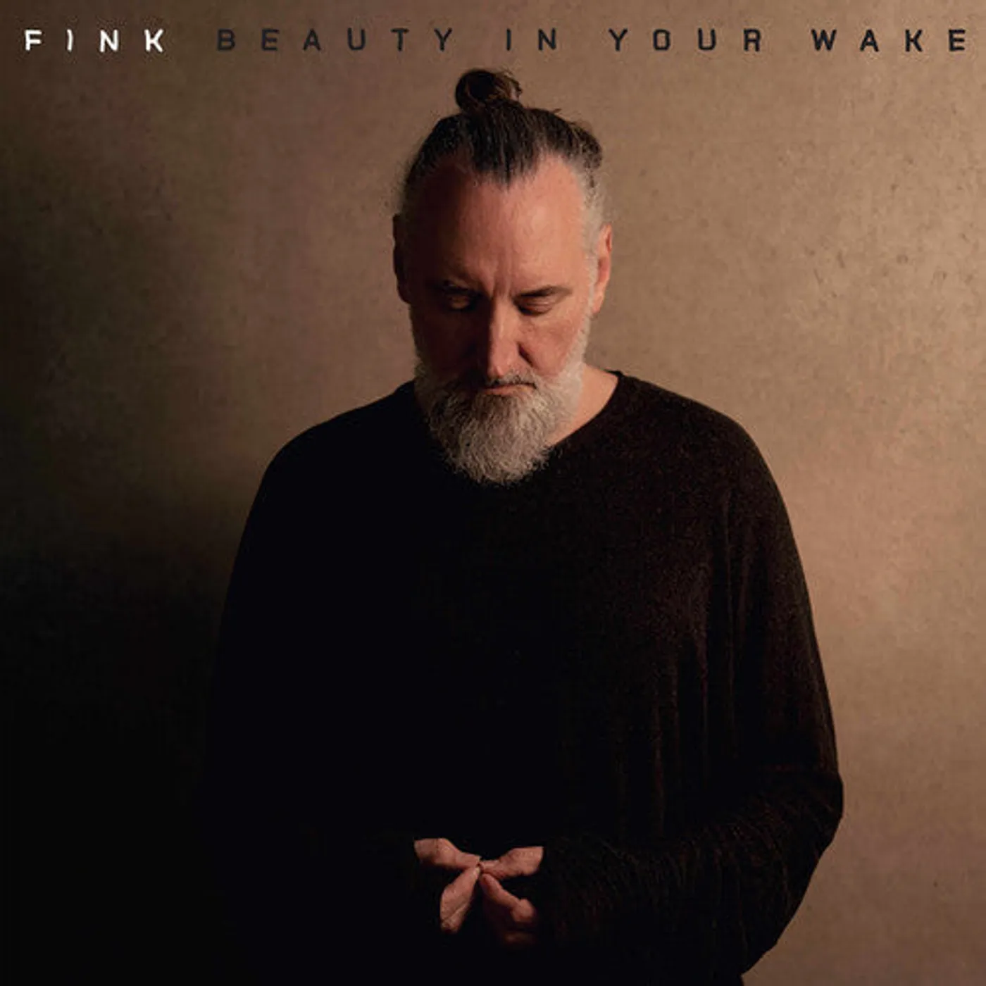 Fink LP Vinyl - Beauty In Your Wake (W/Book) (Blk)