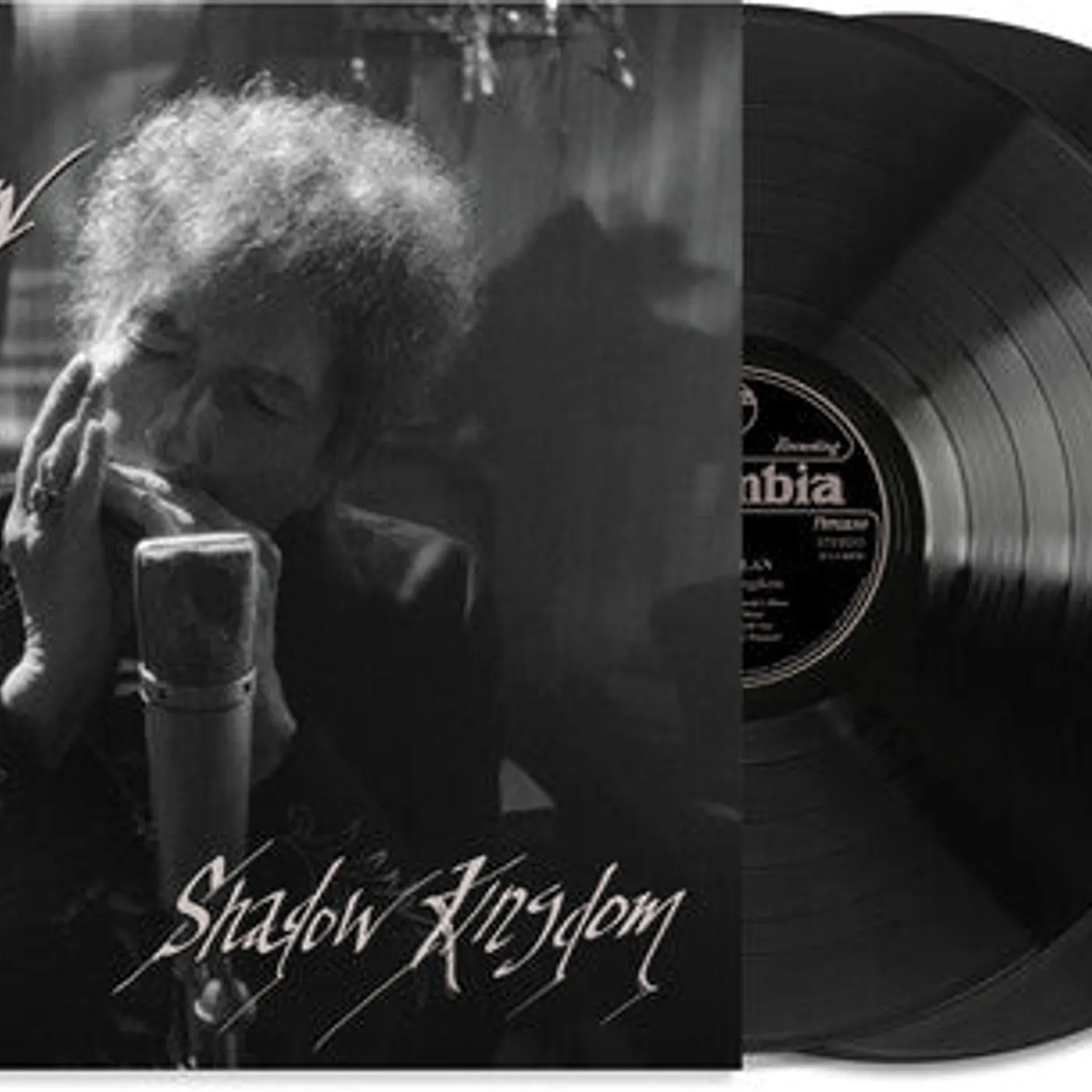 Bob Dylan LP Vinyl - Shadow Kingdom (Etch)