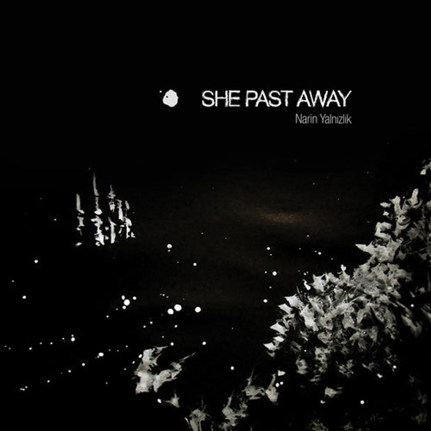 She Past Away LP Vinyl - Narin Yalnizlik (Ltd)