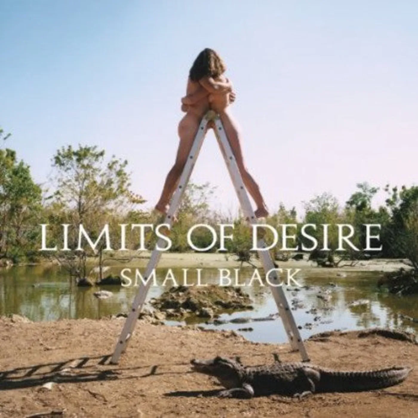 Small Black LP Vinyl - Limits Of Desire