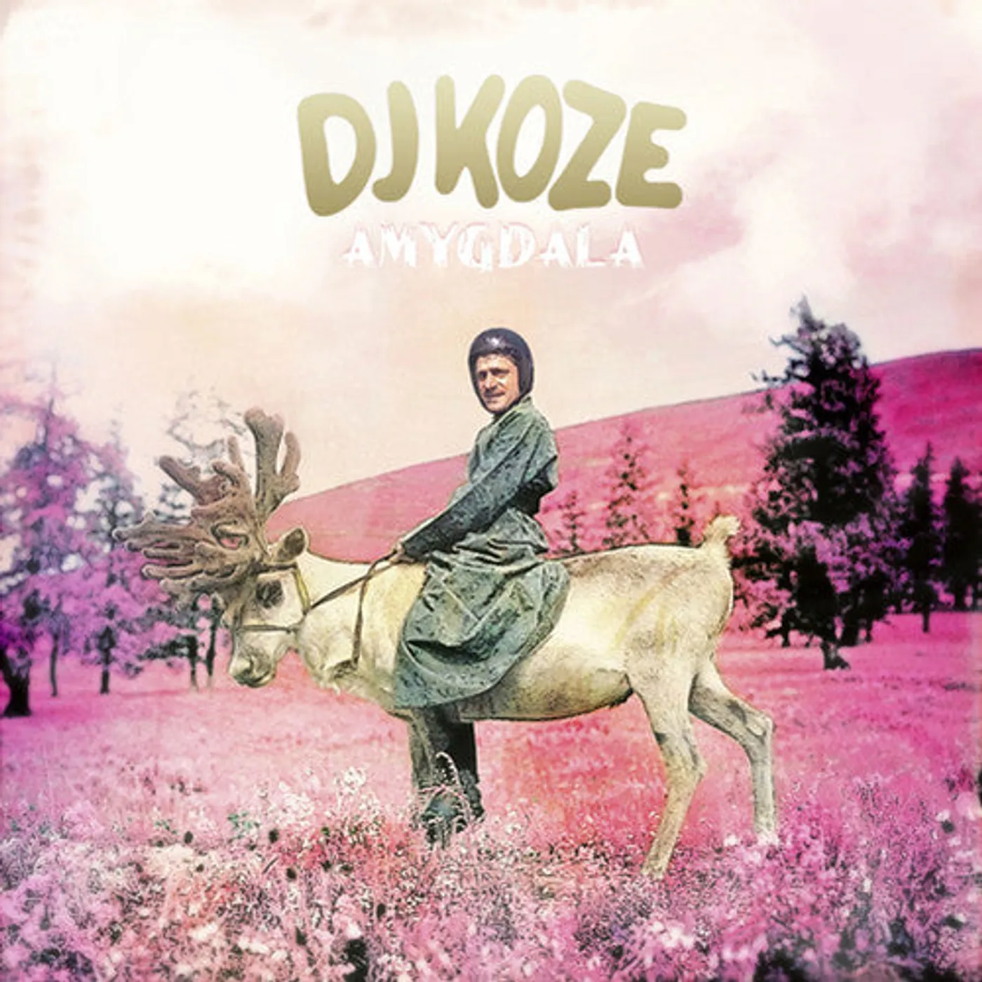 Dj Koze LP Vinyl - Amygdala