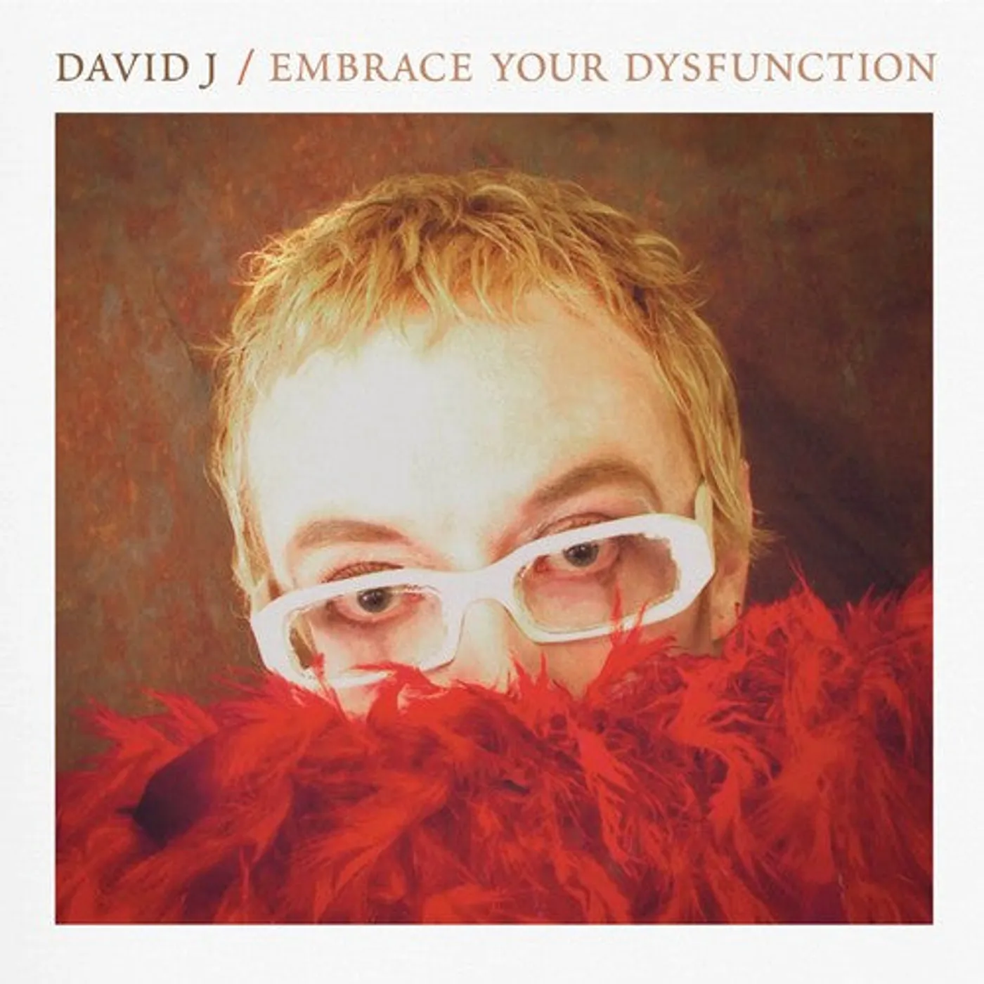 David J LP Vinyl - Embrace Your Dysfunction - Red/White Haze (Colv)