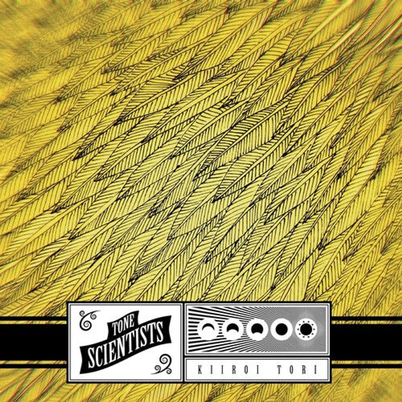 Tone Scientists LP Vinyl - Kiiroi Tori - Banana Peel (Colv) (Ylw)