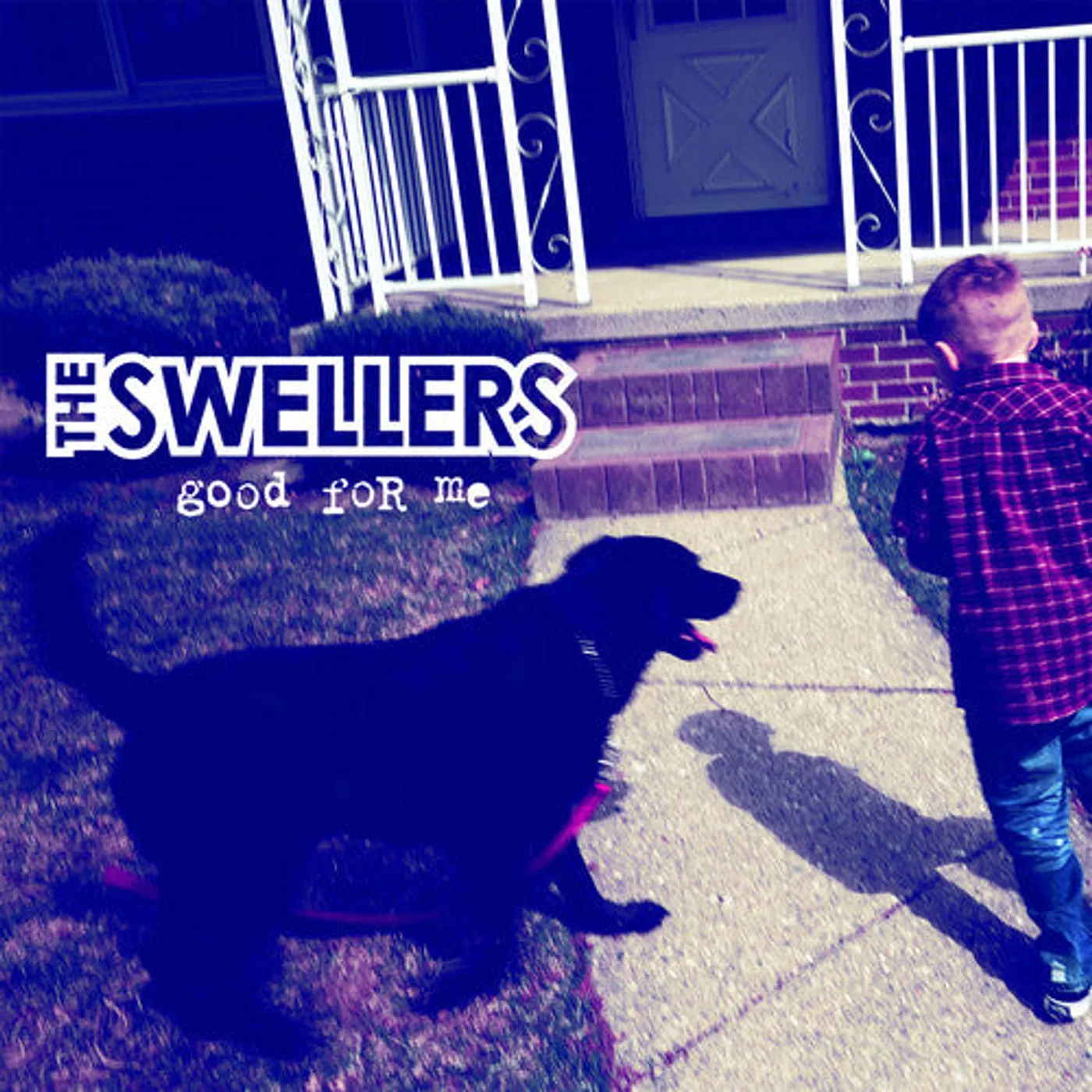 The Swellers LP Vinyl - Good For Me (Blue) (Colv)