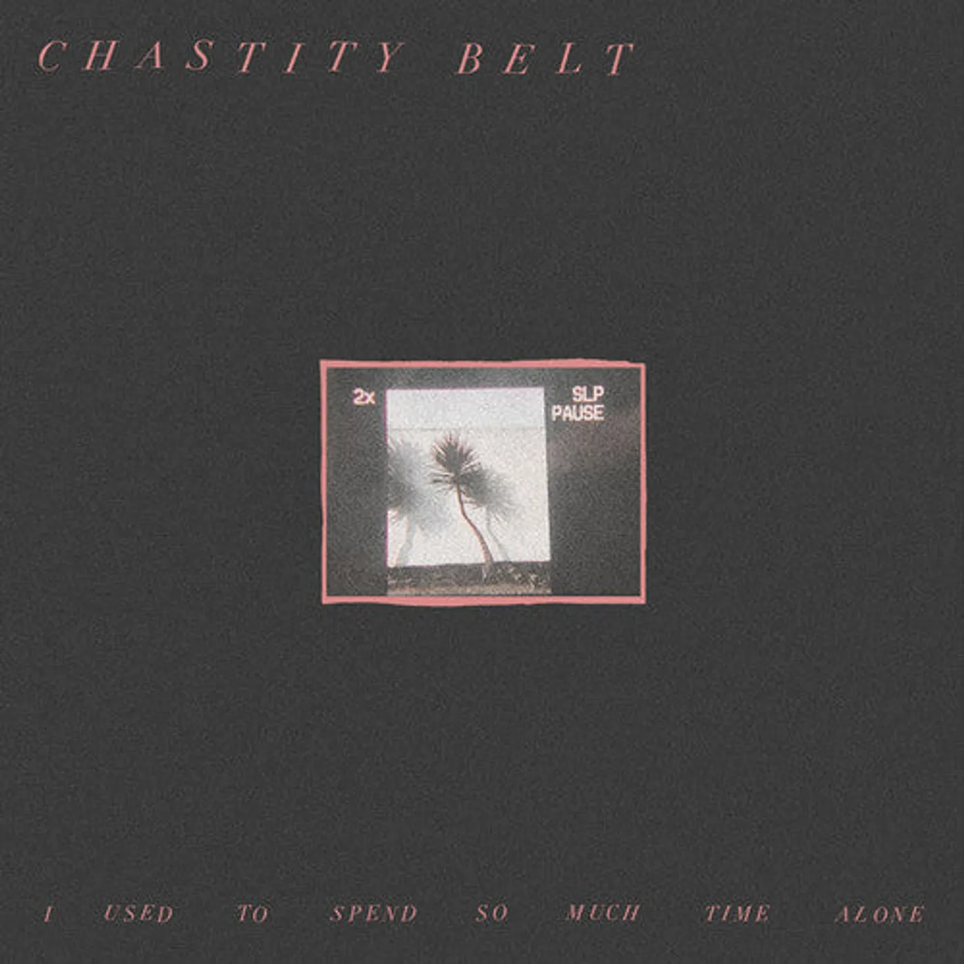 Chastity Belt LP Vinyl - I Used To Spend So Much Time Alone (Dlcd)