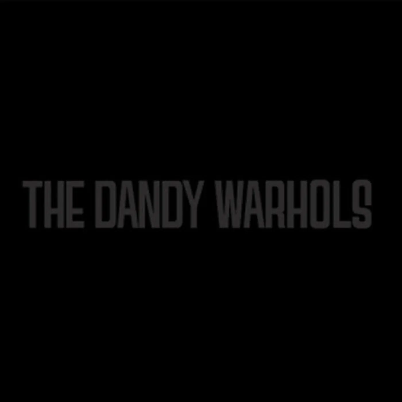 The Dandy Warhols LP Vinyl - Black Album