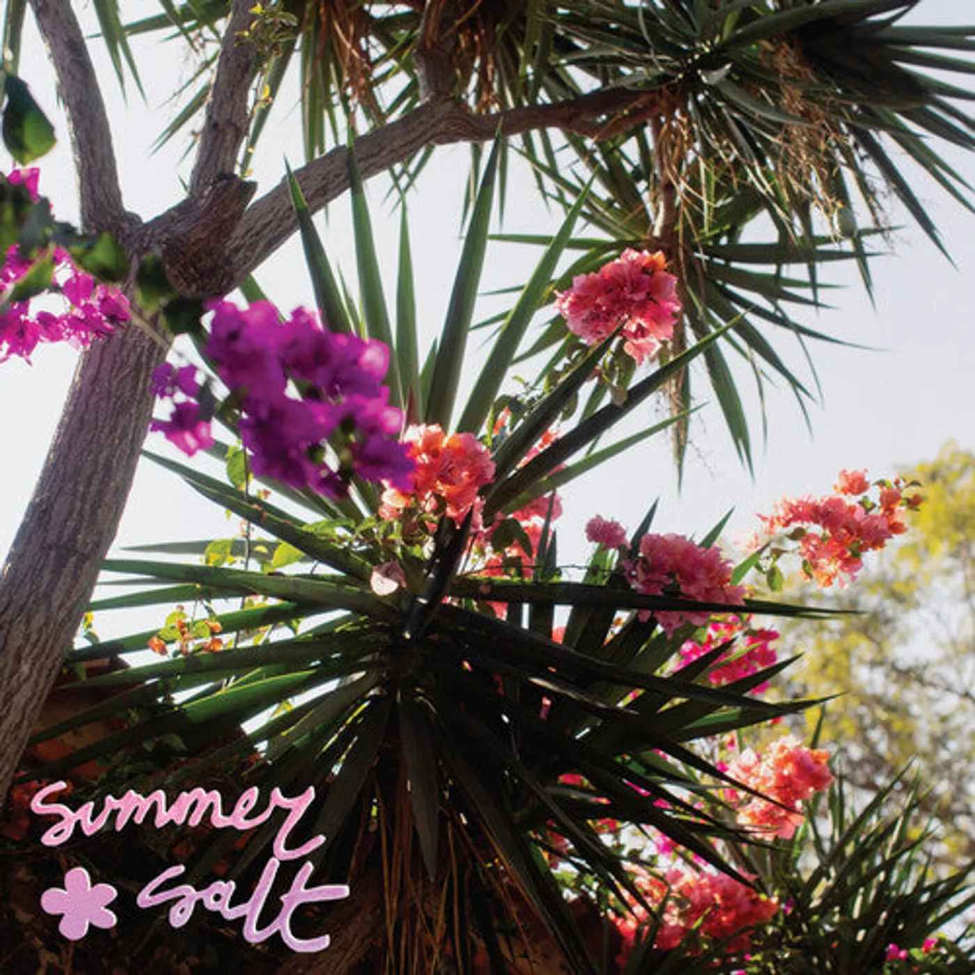 Summer Salt LP Vinyl - Campanita (Coloured Vinyl) (Pnk)