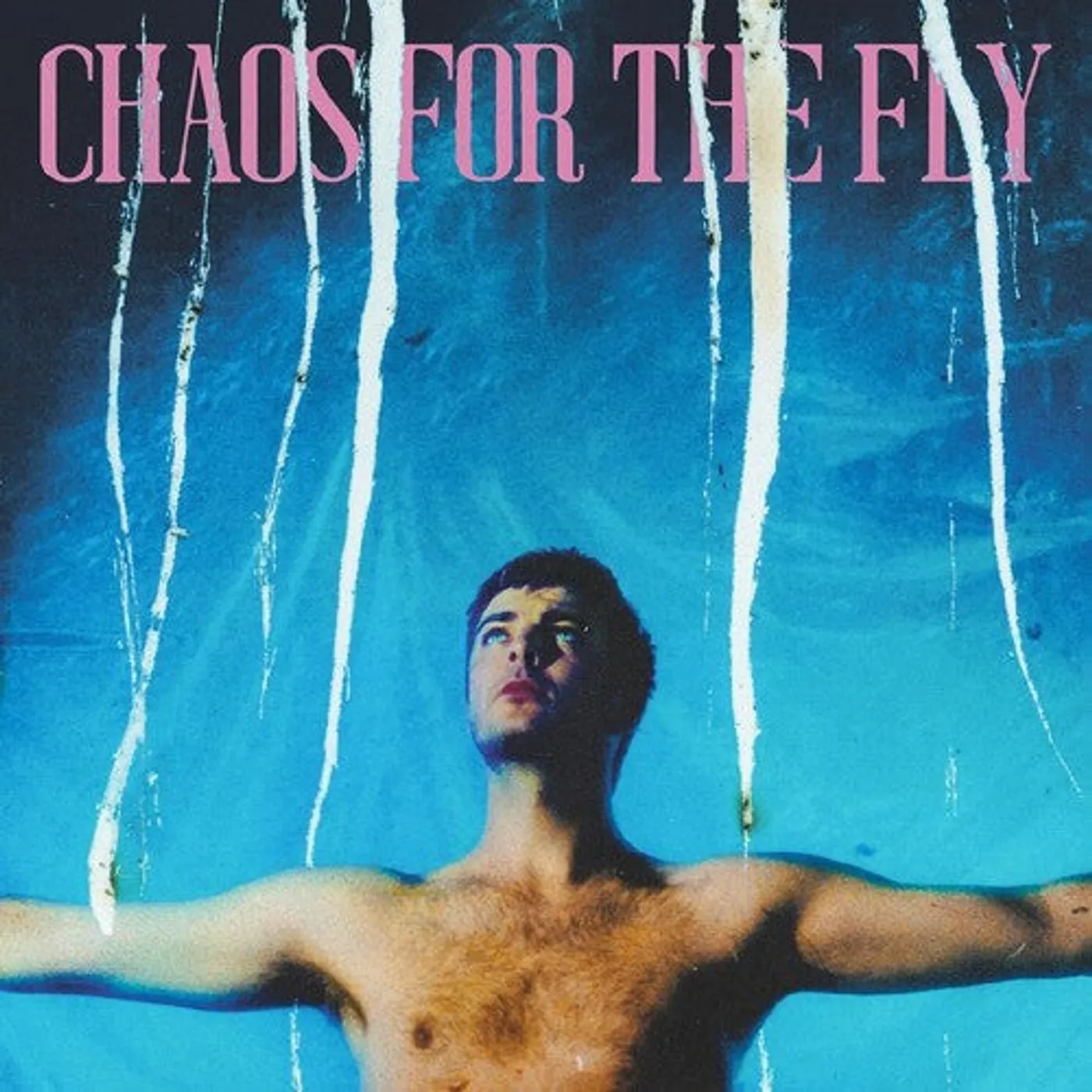 Grian Chatten LP Vinyl - Chaos For The Fly (Cvnl) (Wht)