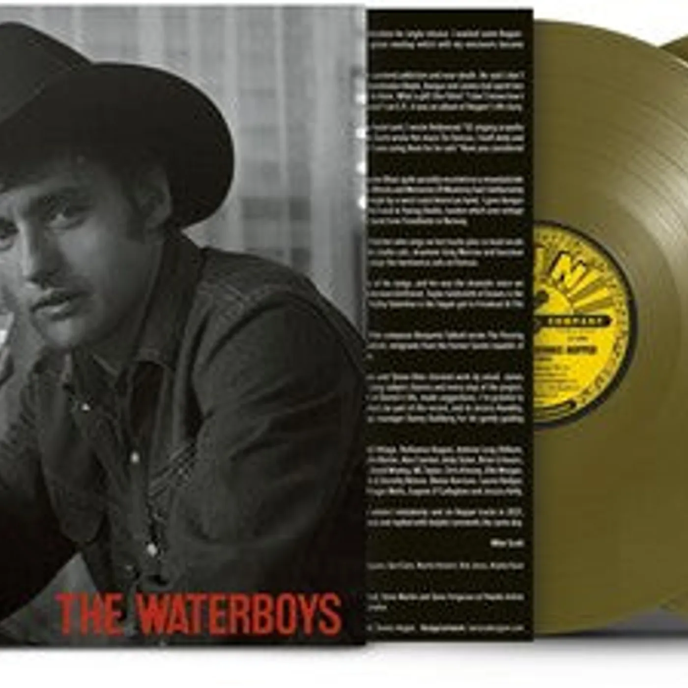 The Waterboys LP Vinyl - Life Death And Dennis Hopper (Coloured Vinyl)