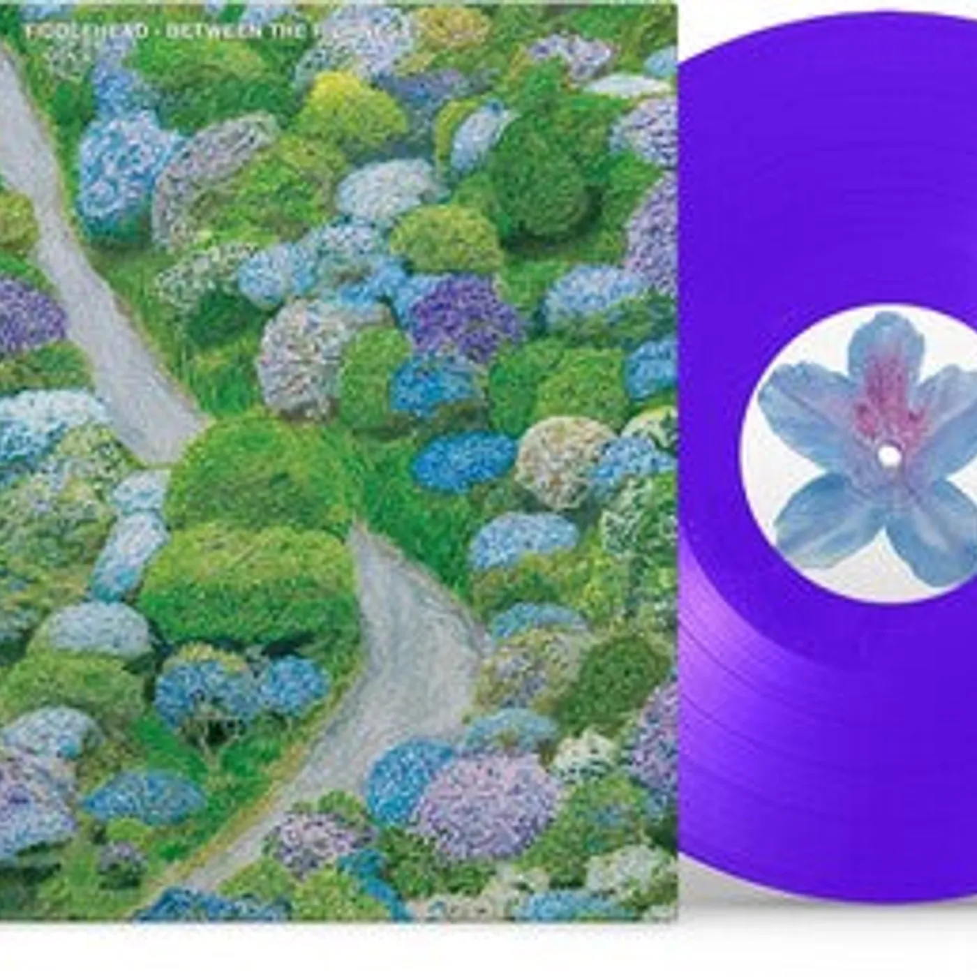 Fiddlehead LP Vinyl - Between The Richness - Violet (Coloured Vinyl) (Viol)