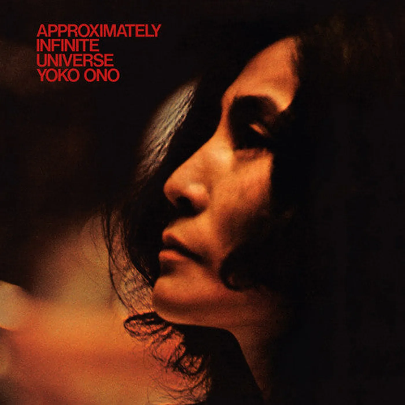 Yoko Ono LP Vinyl - Approximately Infinite Universe (Dlcd)