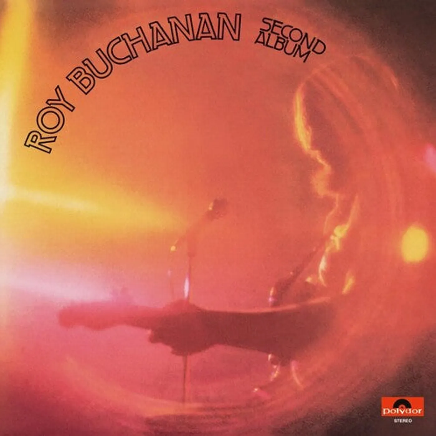 Roy Buchanan LP Vinyl - Second Album