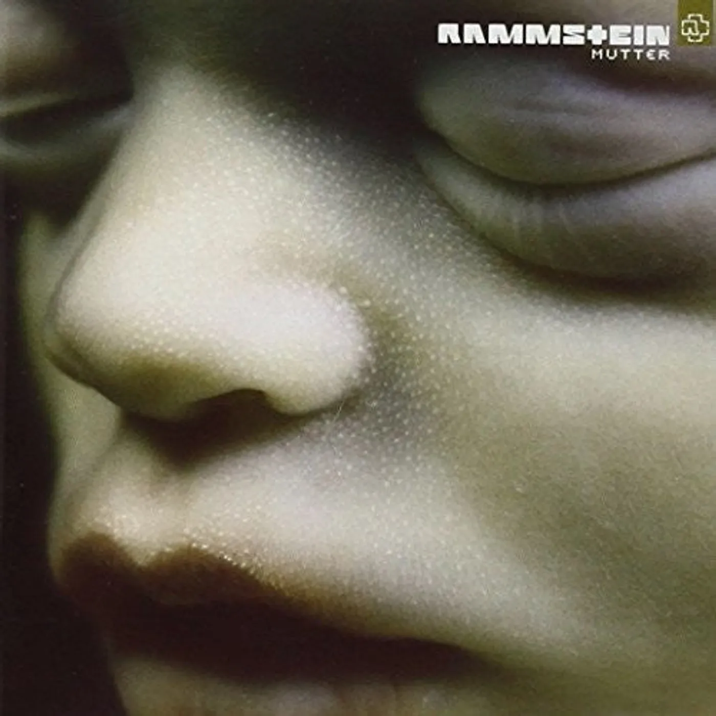 Rammstein LP Vinyl - Mutter