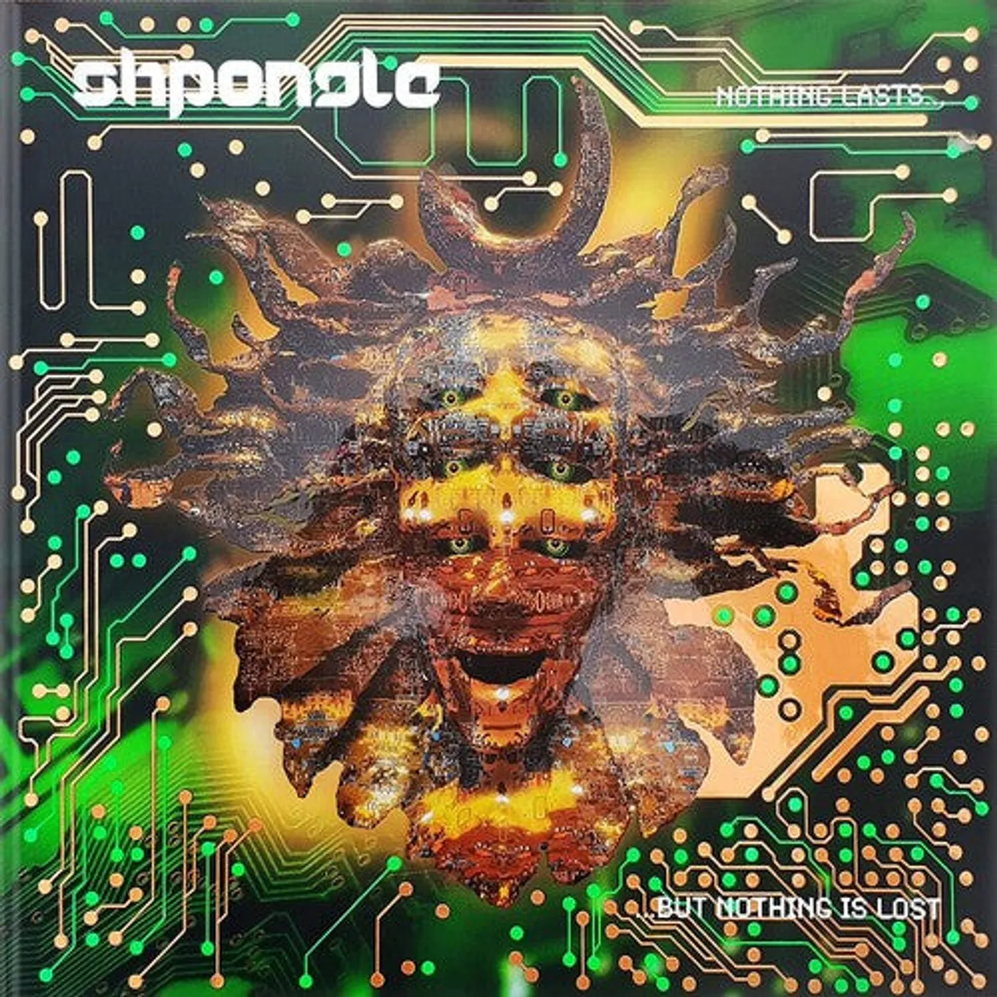 Shpongle LP Vinyl - Nothing Lasts But Nothing Is Lost