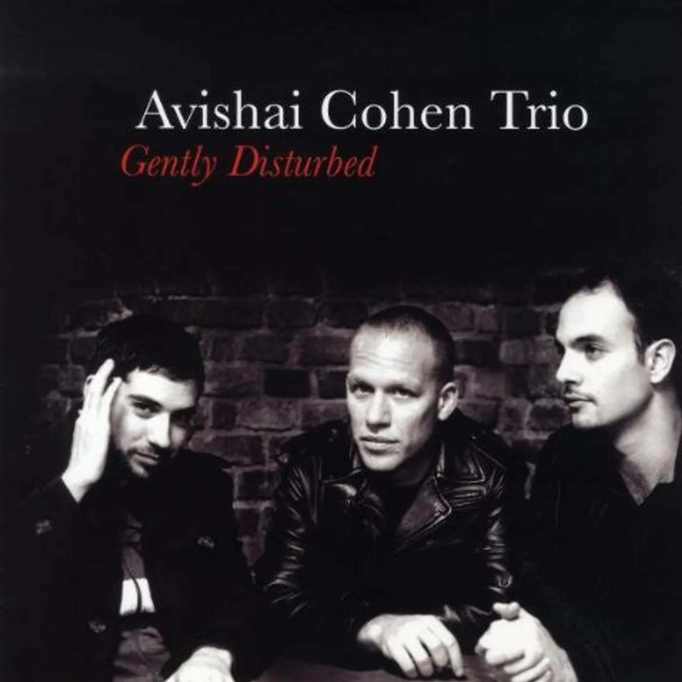 Avishai Cohen LP Vinyl - Gently Disturbed