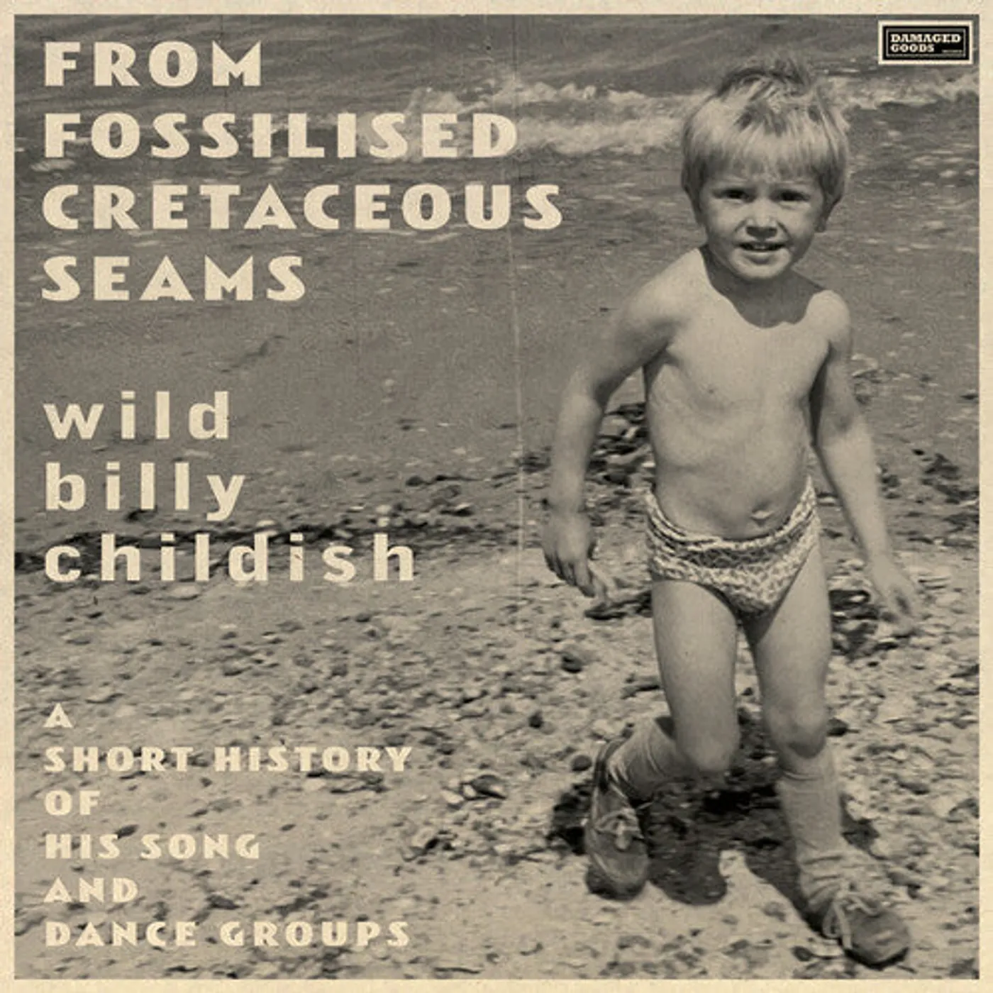 Billy Childish LP Vinyl - From Fossilised Cretaceous Seams: A Short History