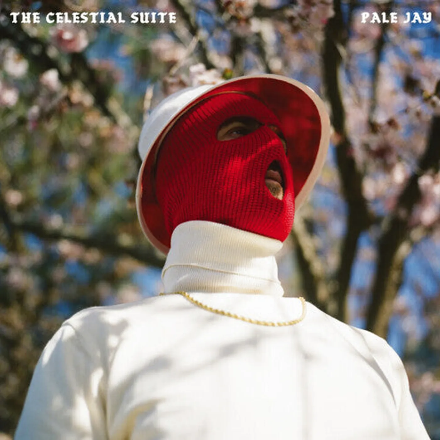 Pale Jay LP Vinyl - Celestial Suite