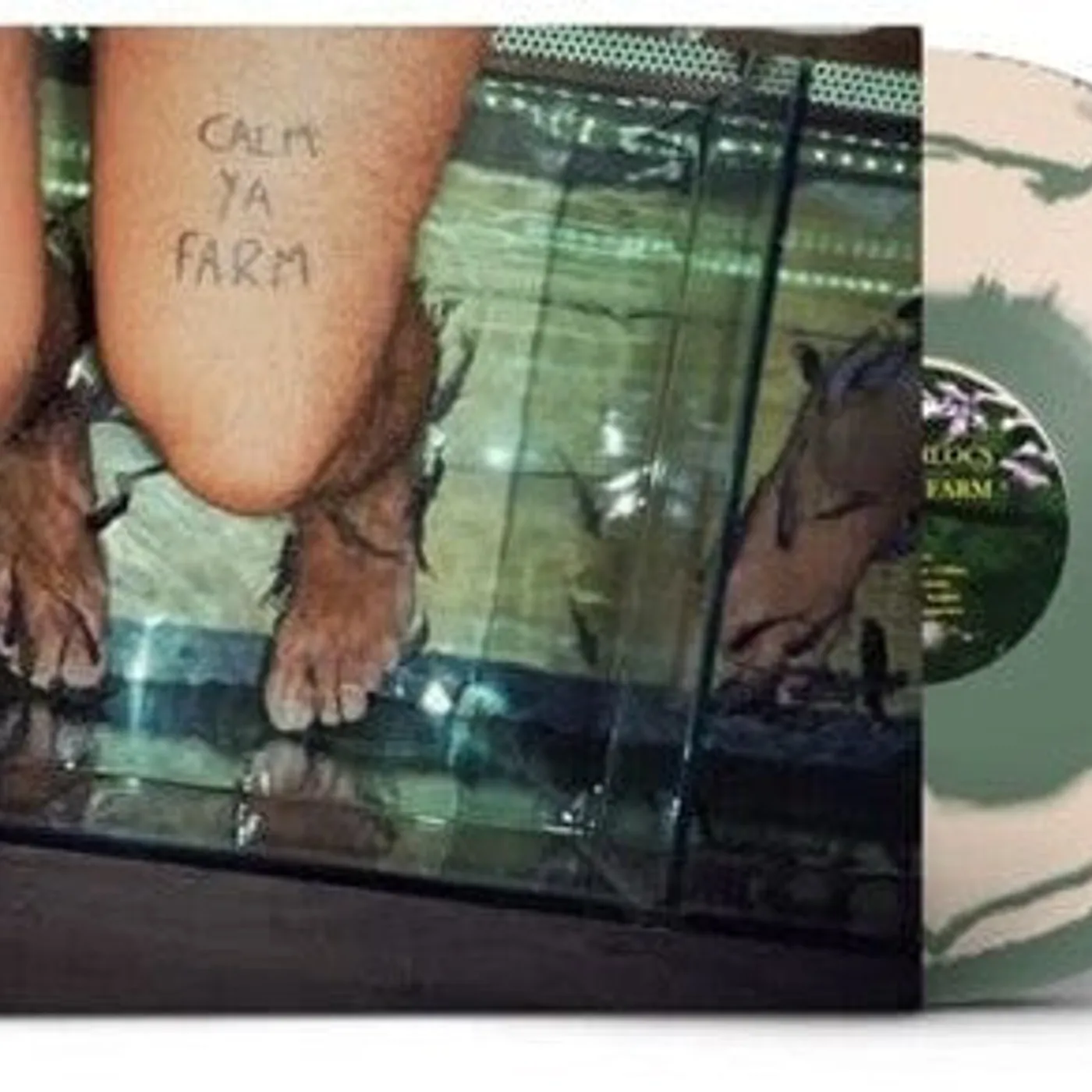 The Murlocs LP Vinyl - Calm Ya Farm (Bible Basher Edition)