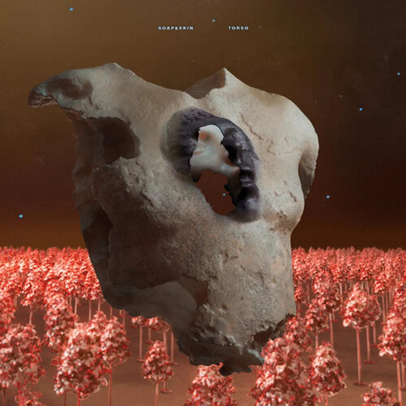 Soap&Skin LP Vinyl - Torso