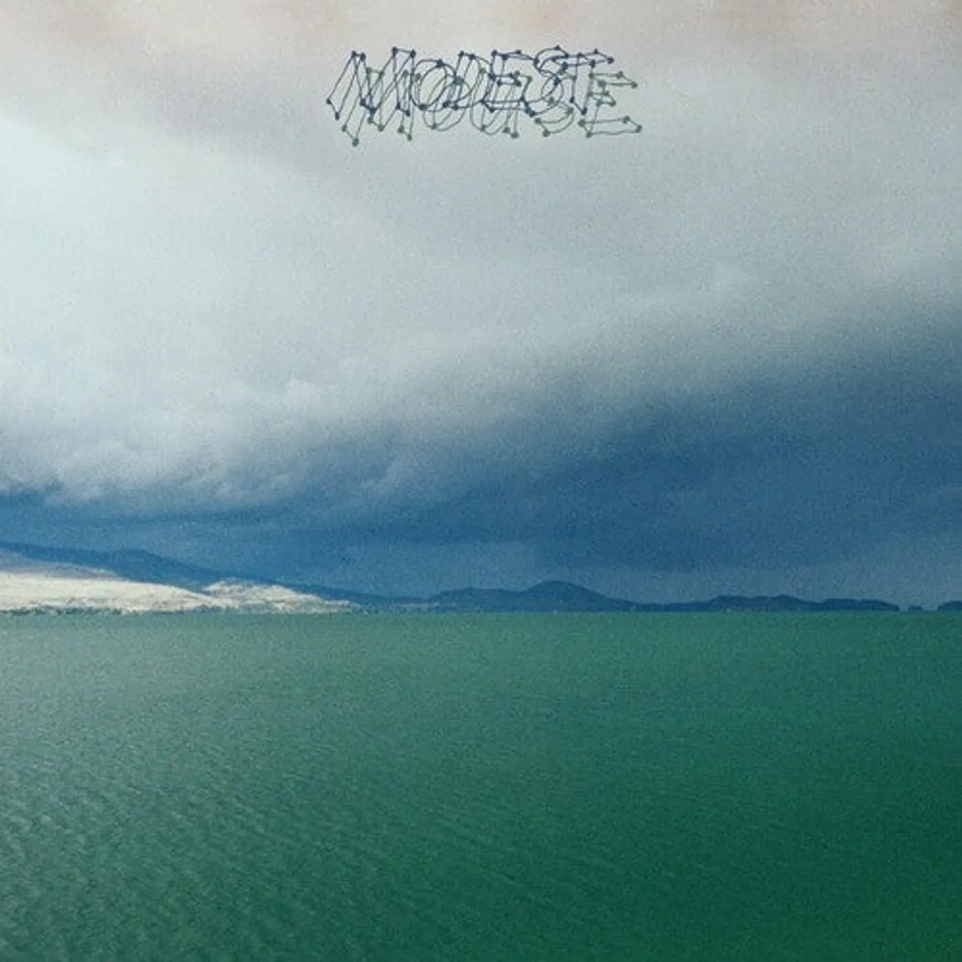 Modest Mouse LP Vinyl - Fruit That Ate Itself