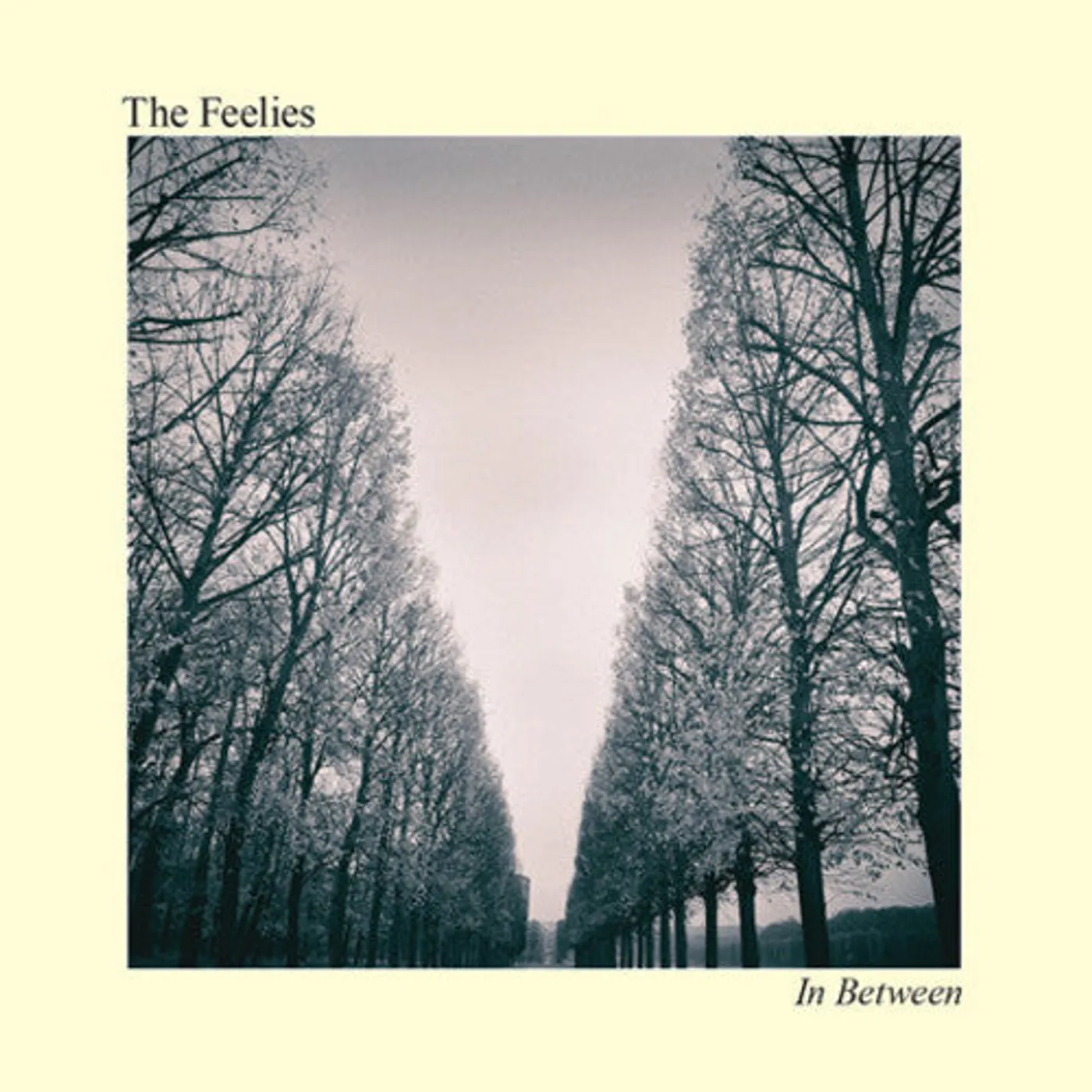 The Feelies LP Vinyl - In Between (Dlcd)