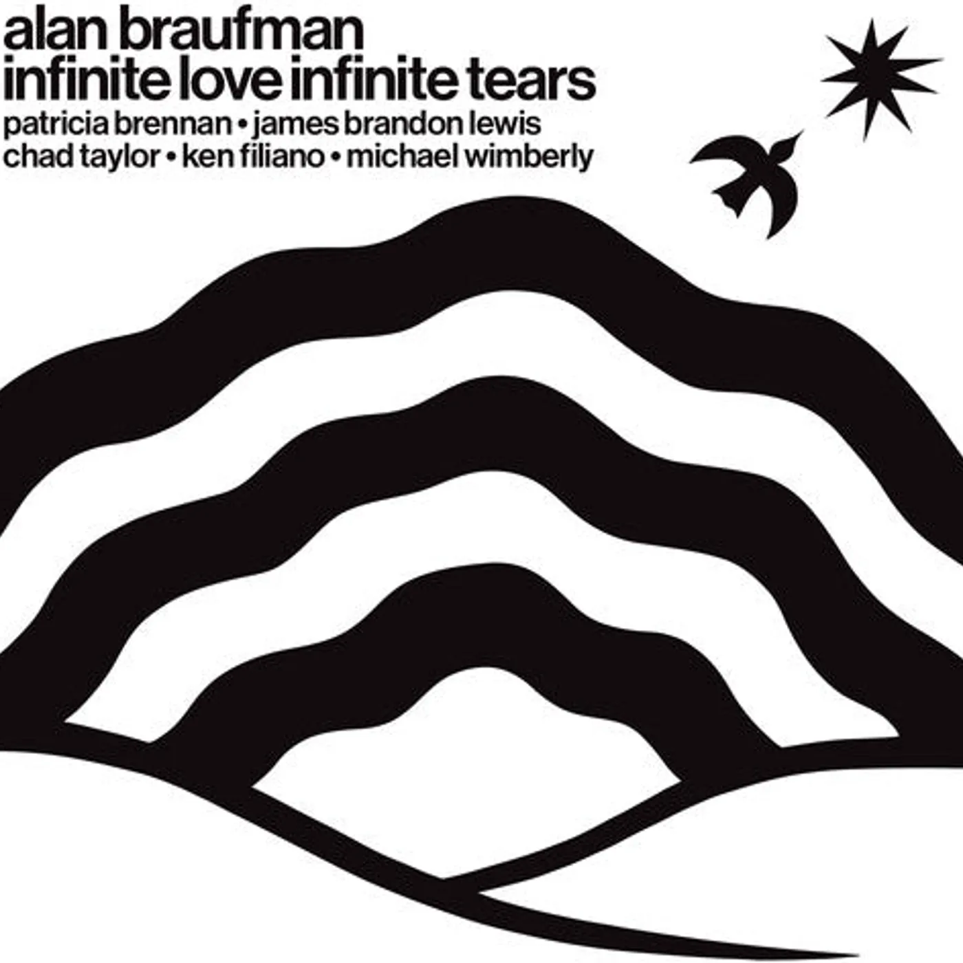 Alan Braufman LP Vinyl - Infinite Love Infinite Tears