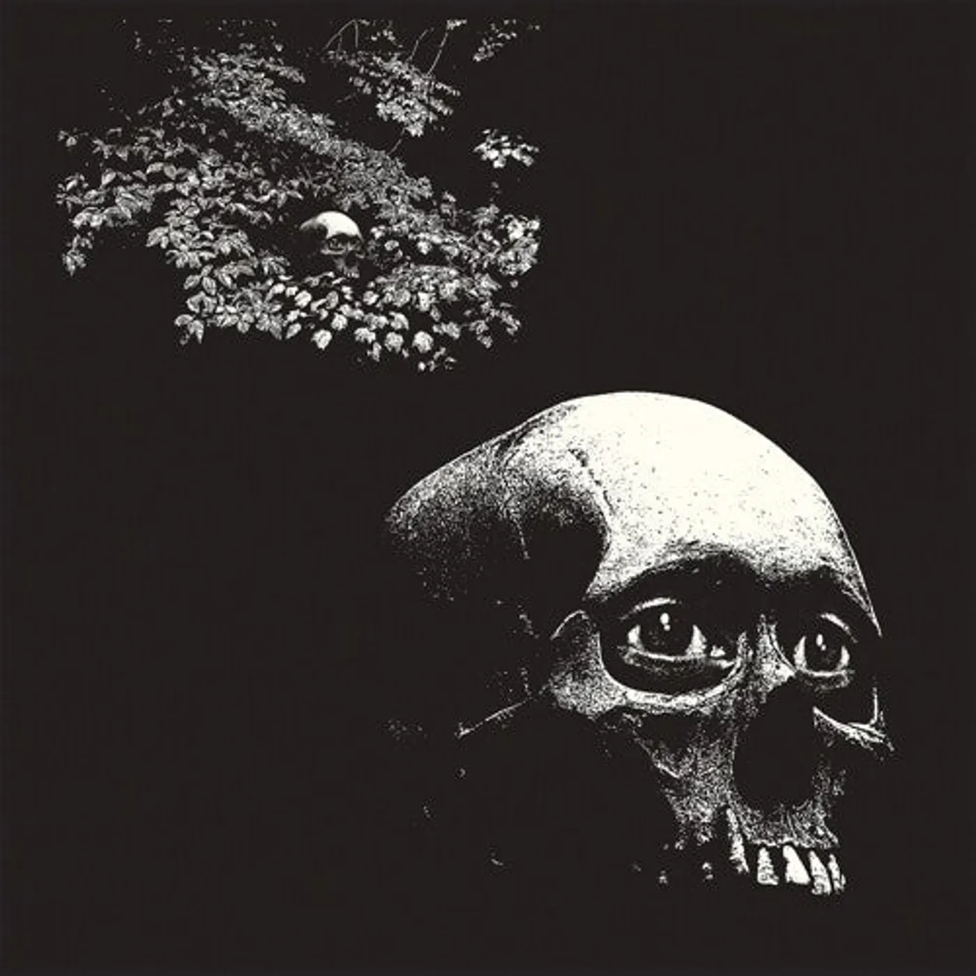 Osees LP Vinyl - Foul Form