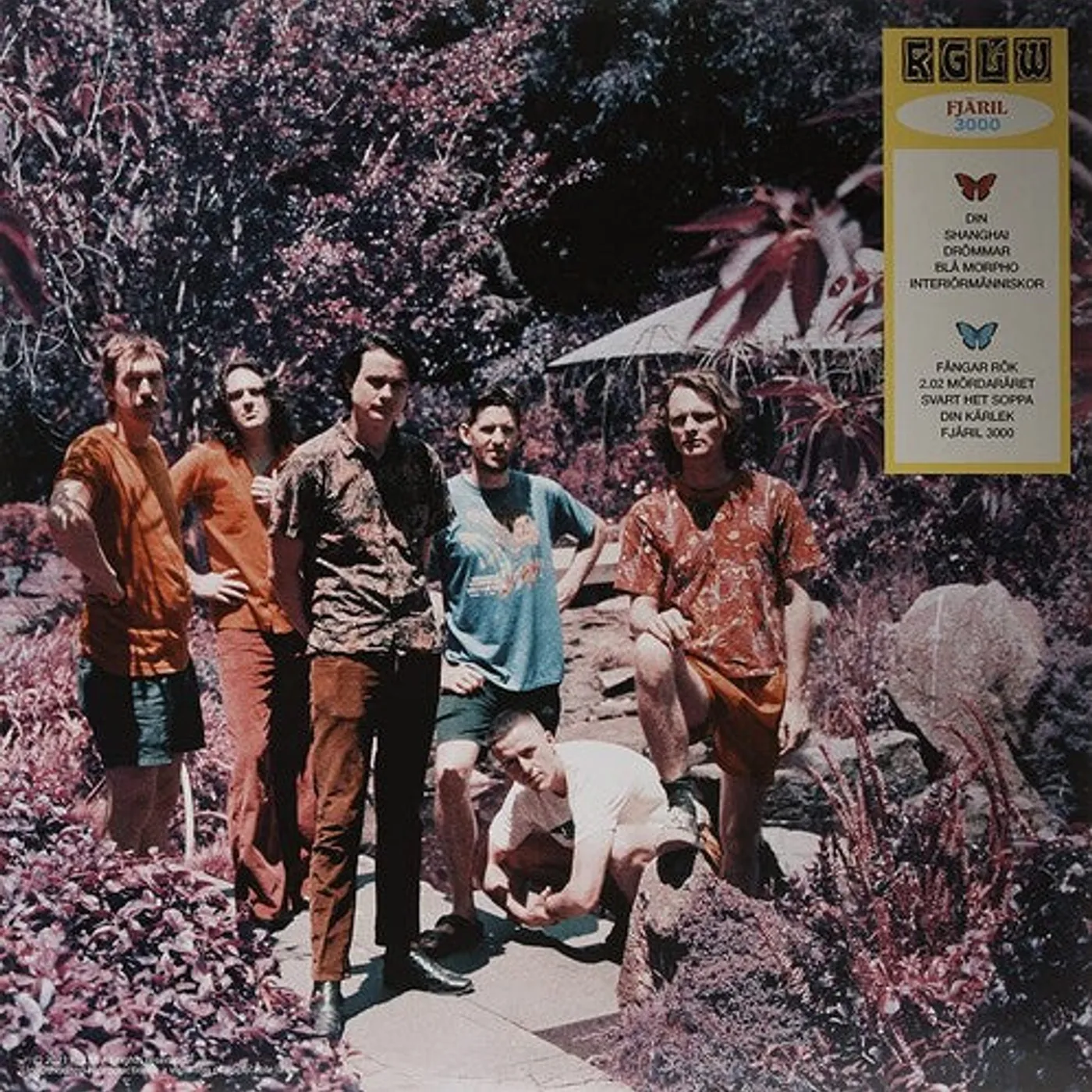 King Gizzard & The Lizard Wizard LP Vinyl - Butterfly 3000 [Swedish] (Ltd)