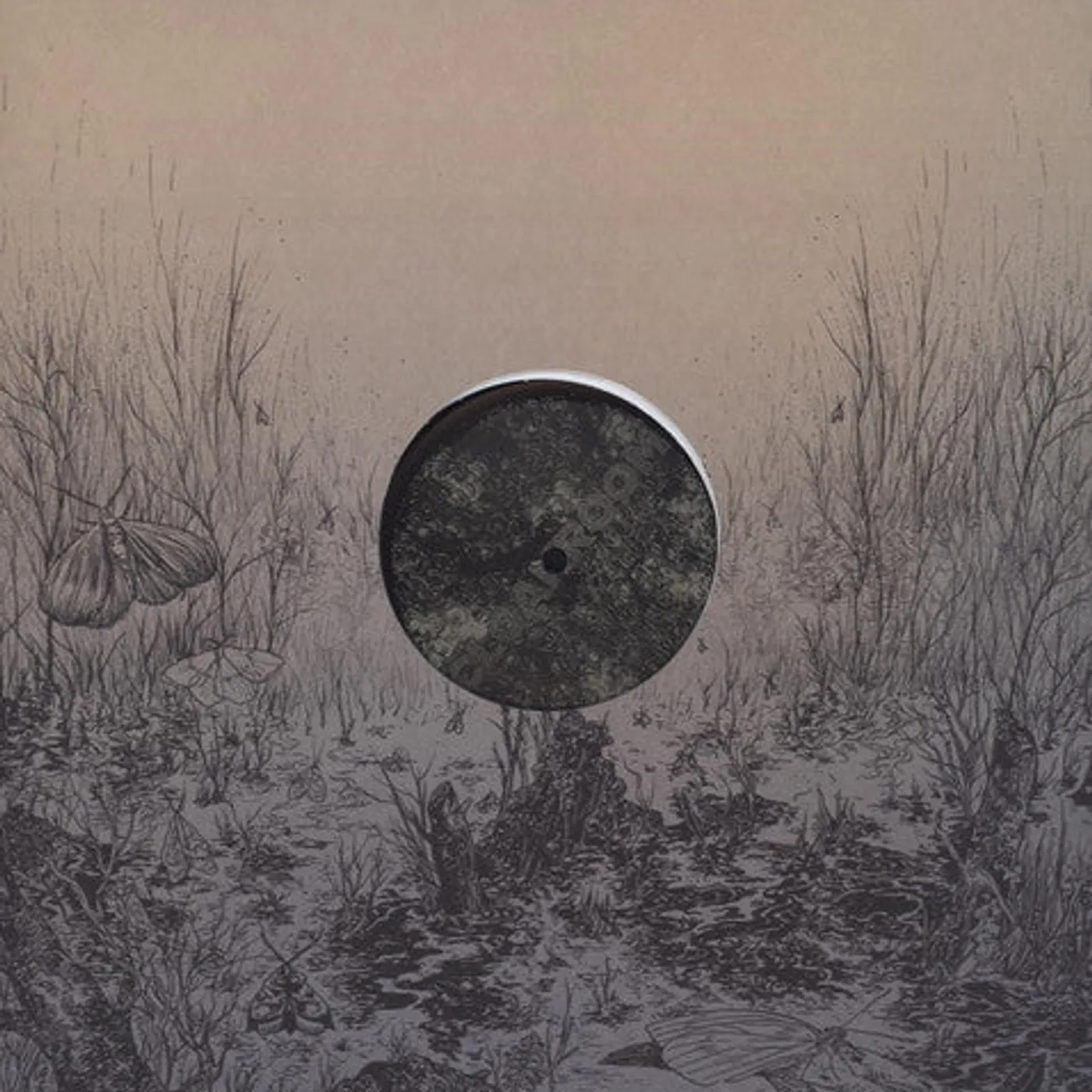 Cloakroom LP Vinyl - Infinity