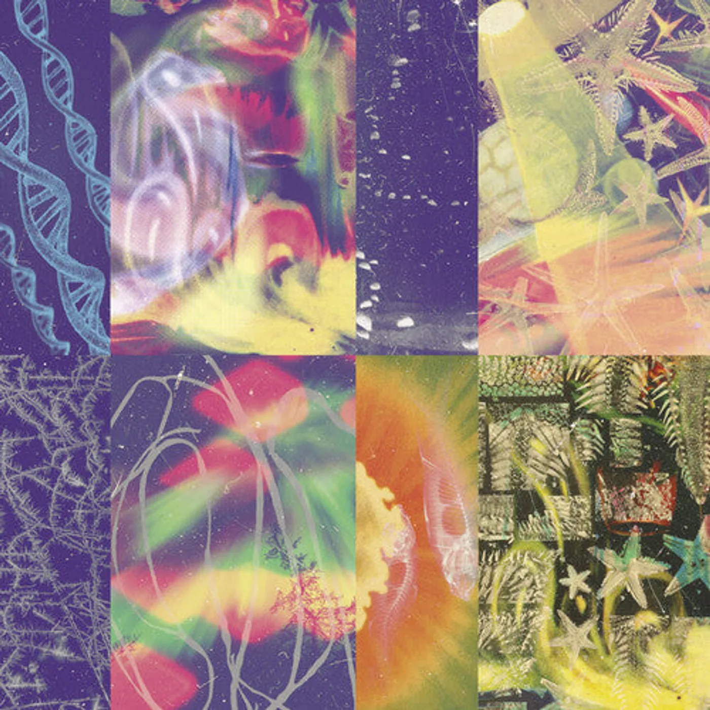 Nap Eyes LP Vinyl - Neon Gate
