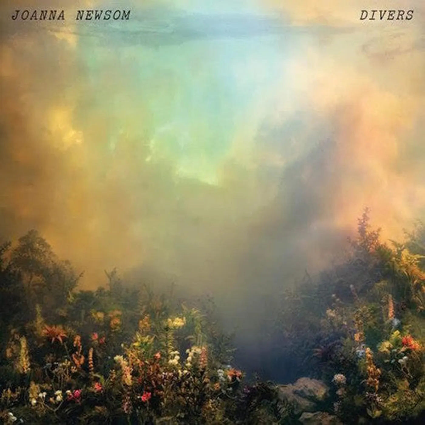 Joanna Newsom LP Vinyl - Divers