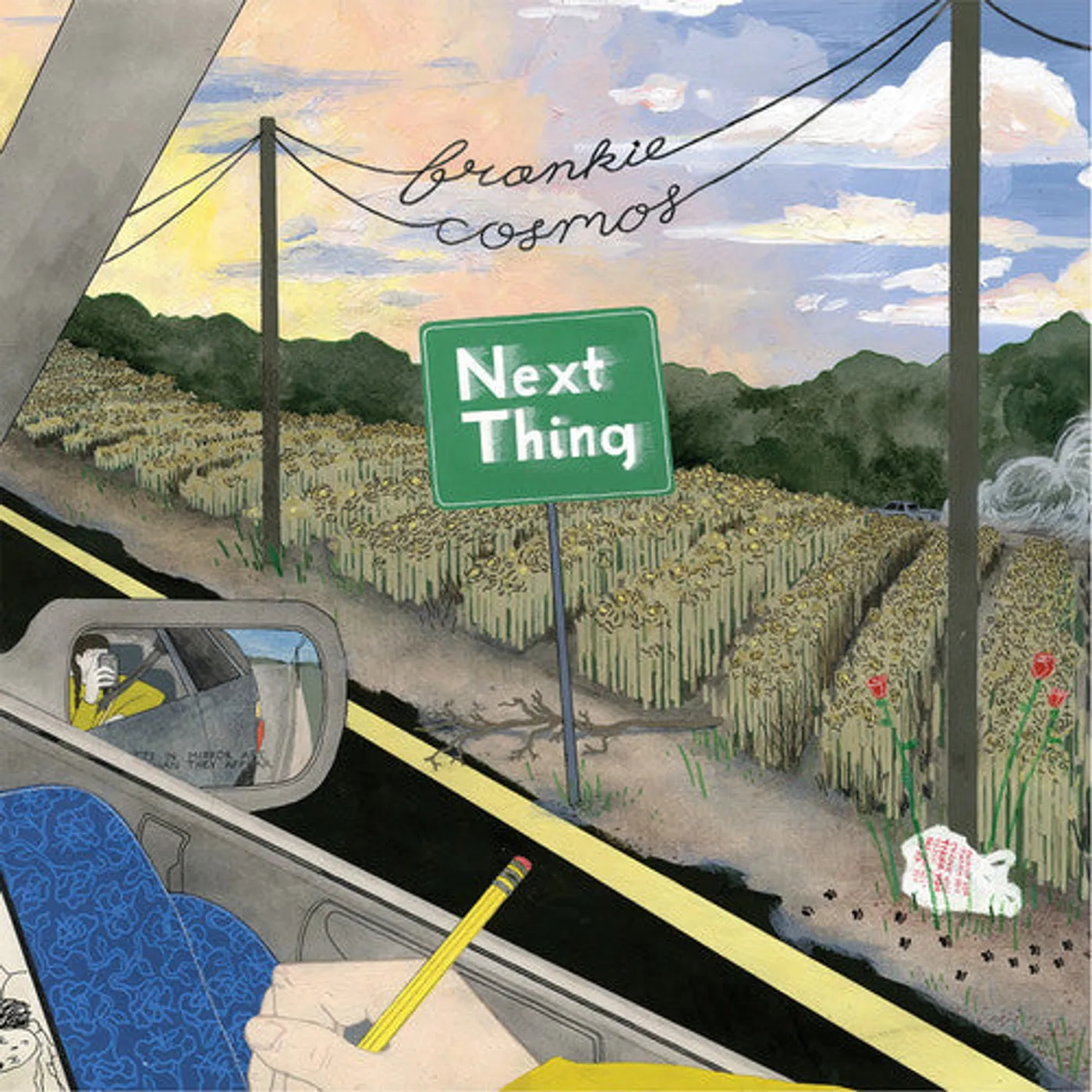Frankie Cosmos LP Vinyl - Next Thing