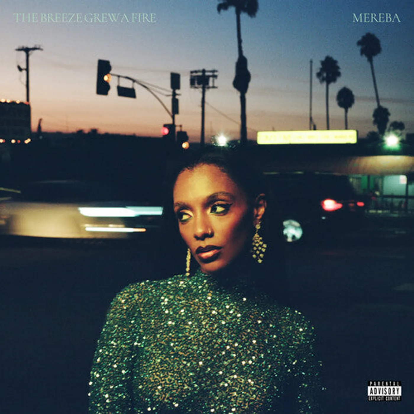 Mereba LP Vinyl - Breeze Grew A Fire