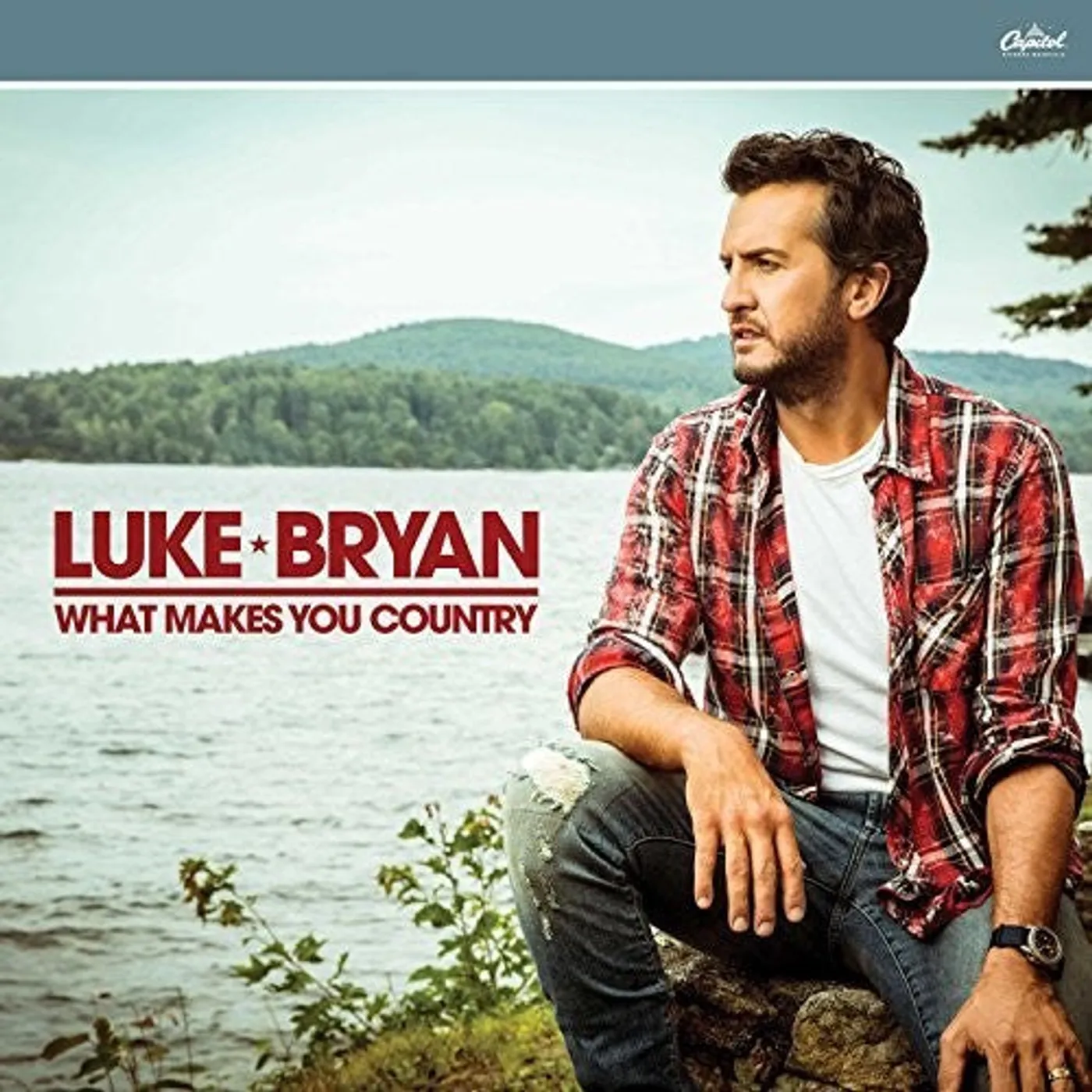 Luke Bryan LP Vinyl - What Makes You Country