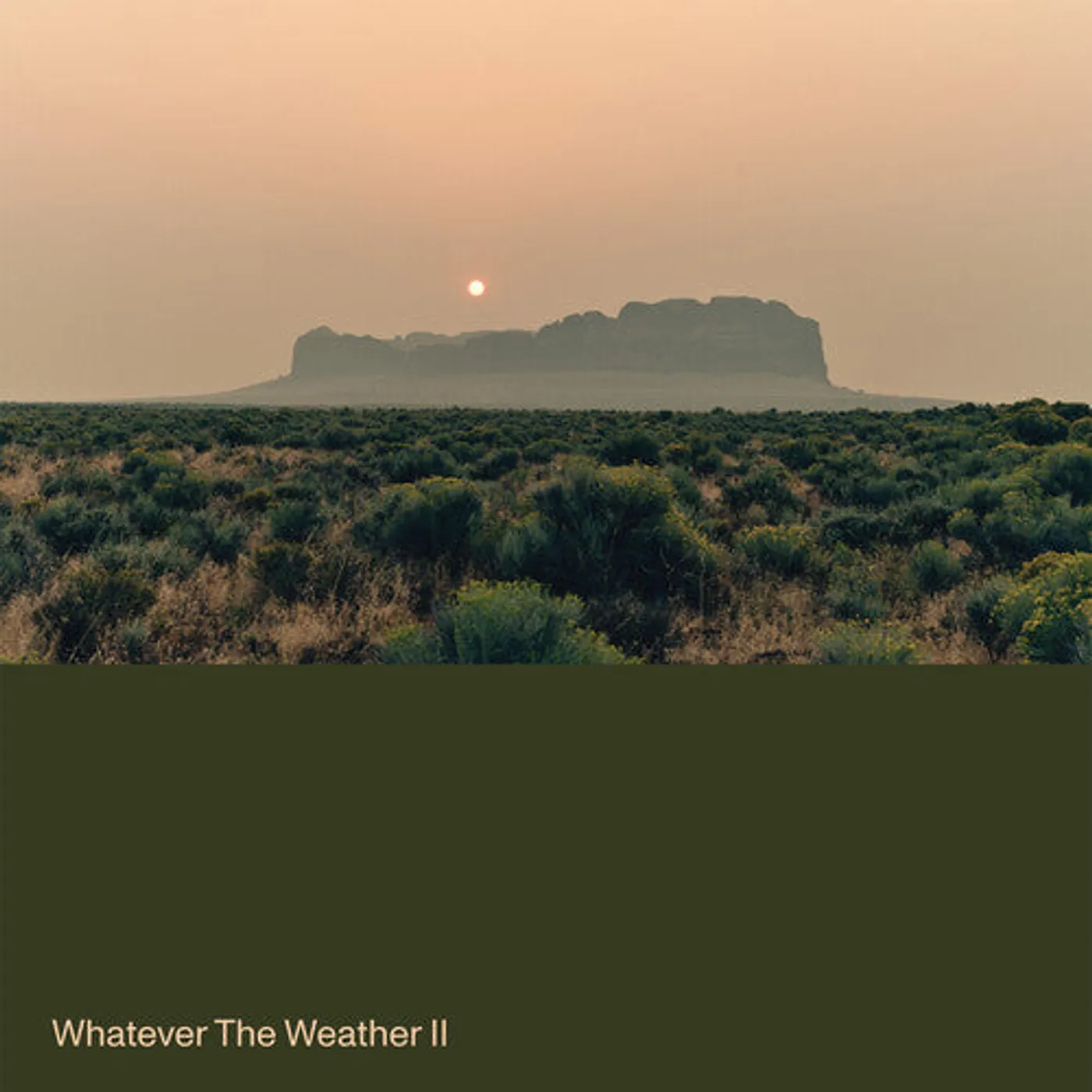 Whatever The Weather LP Vinyl - Whatever The Weather Ii - Green (Coloured Vinyl) (Grn)
