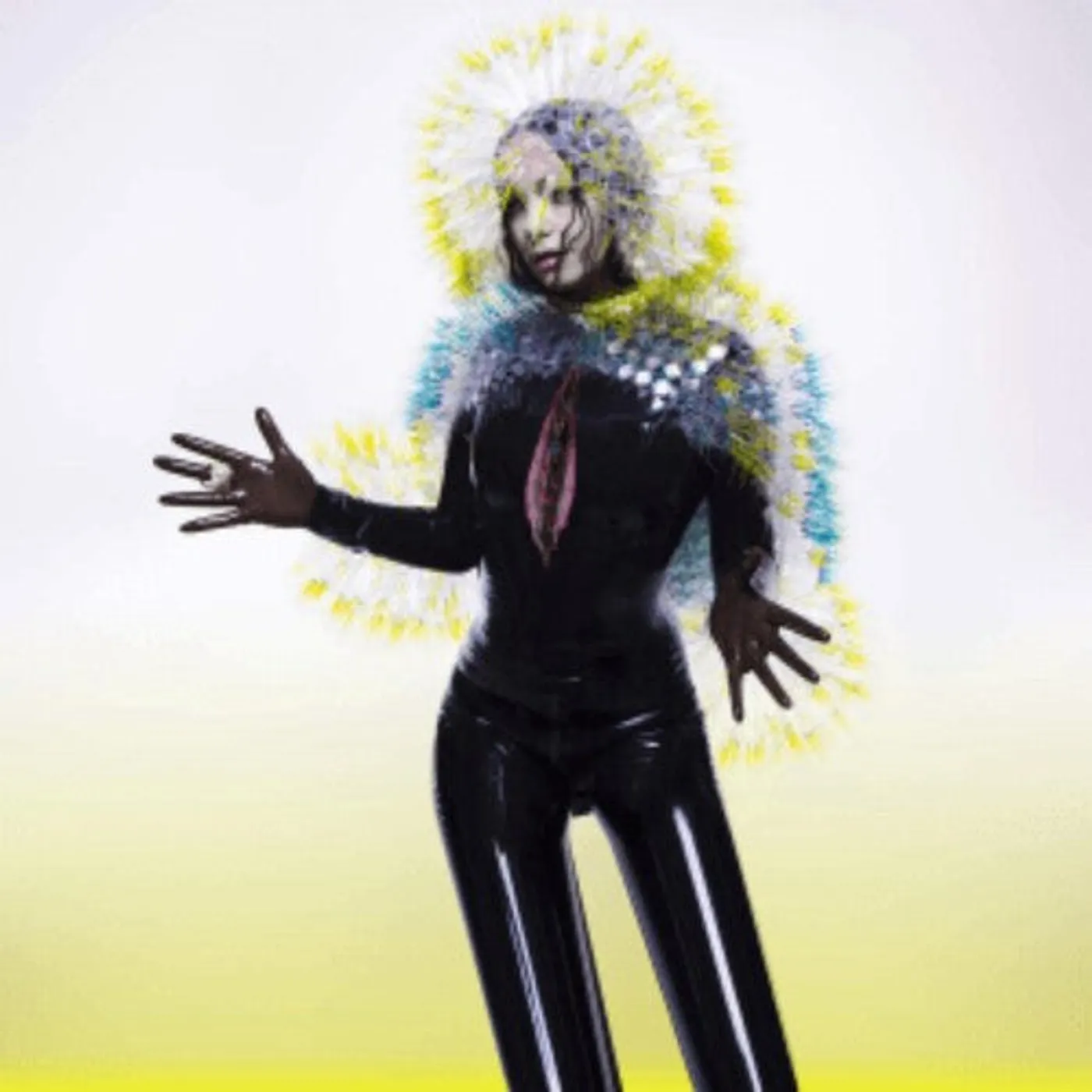 Björk LP Vinyl - Vulnicura