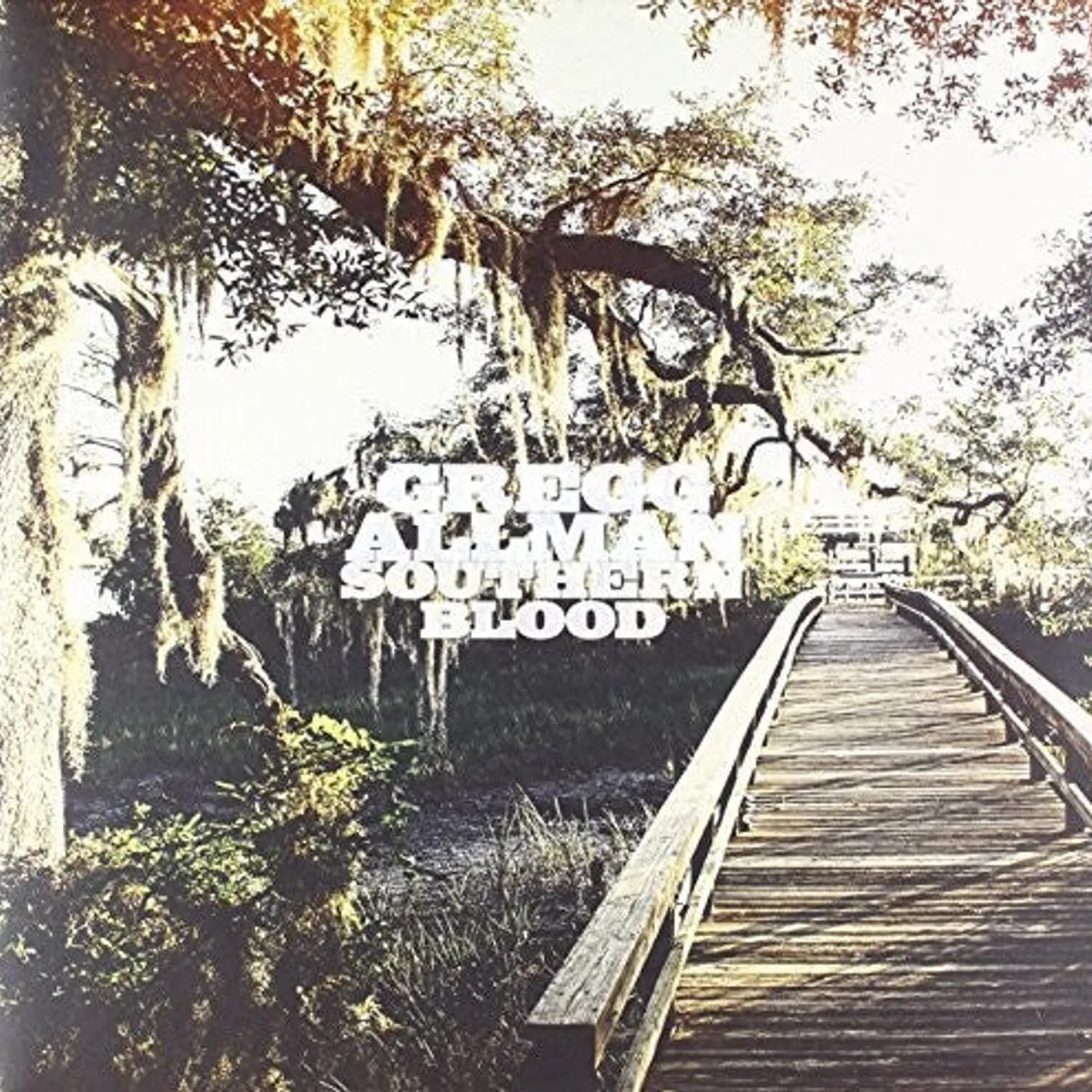 Gregg Allman LP Vinyl - Southern Blood