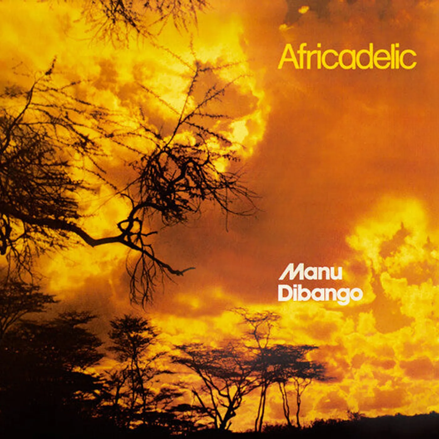 Manu Dibango LP Vinyl - Waka Juju (Coloured Vinyl) (Cvnl)