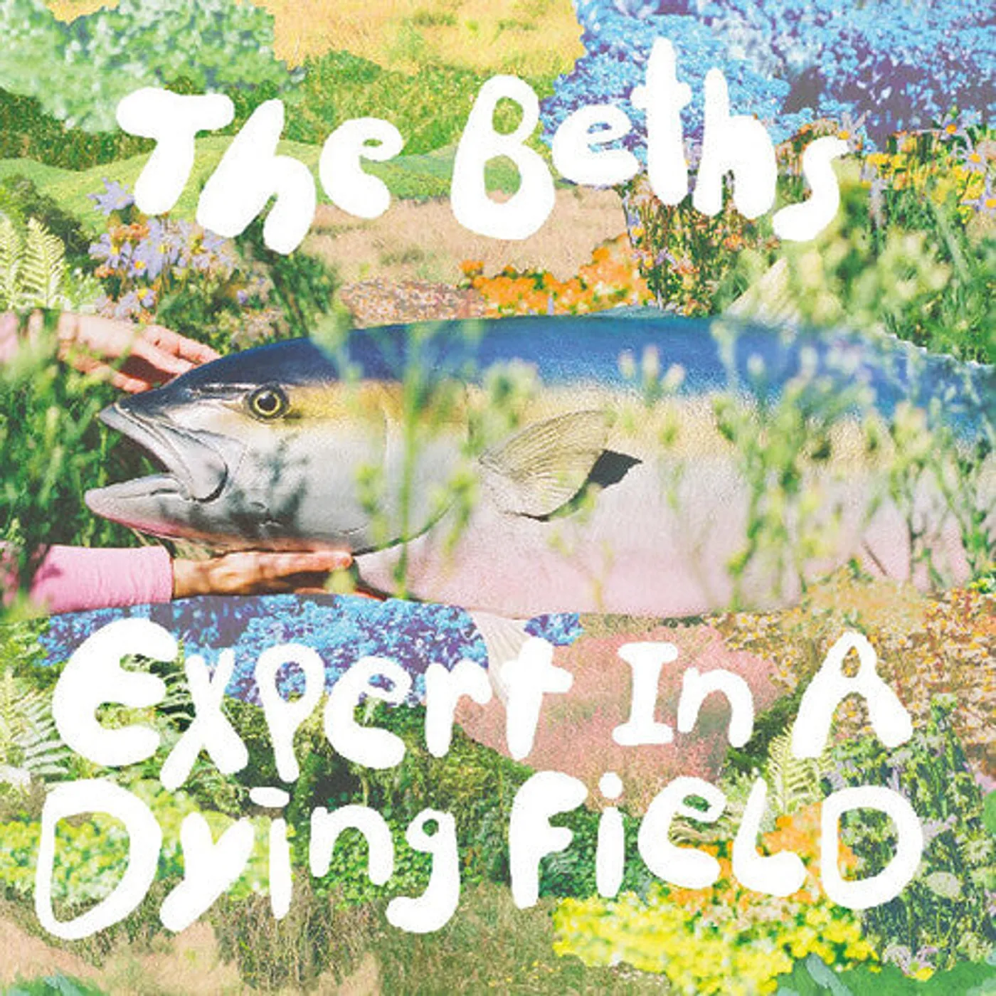 The Beths LP Vinyl - Expert In A Dying Field (Coloured Vinyl) (Slv)
