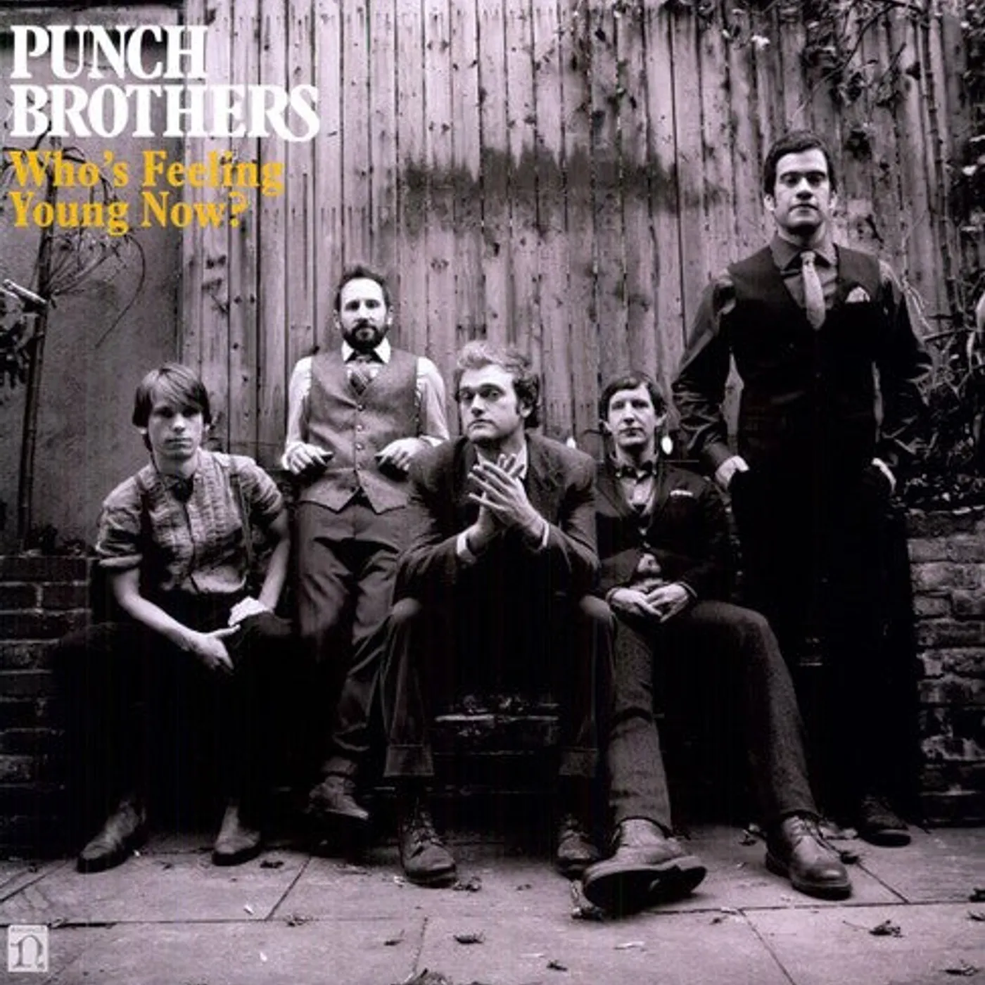 Punch Brothers LP Vinyl - Who'S Feeling Young Now